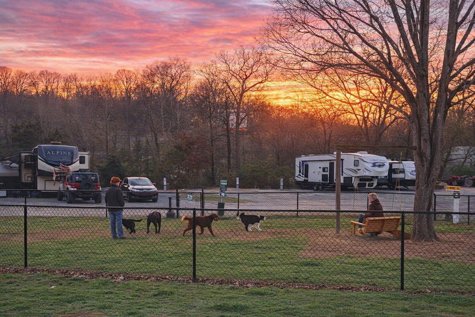 Picture of the site