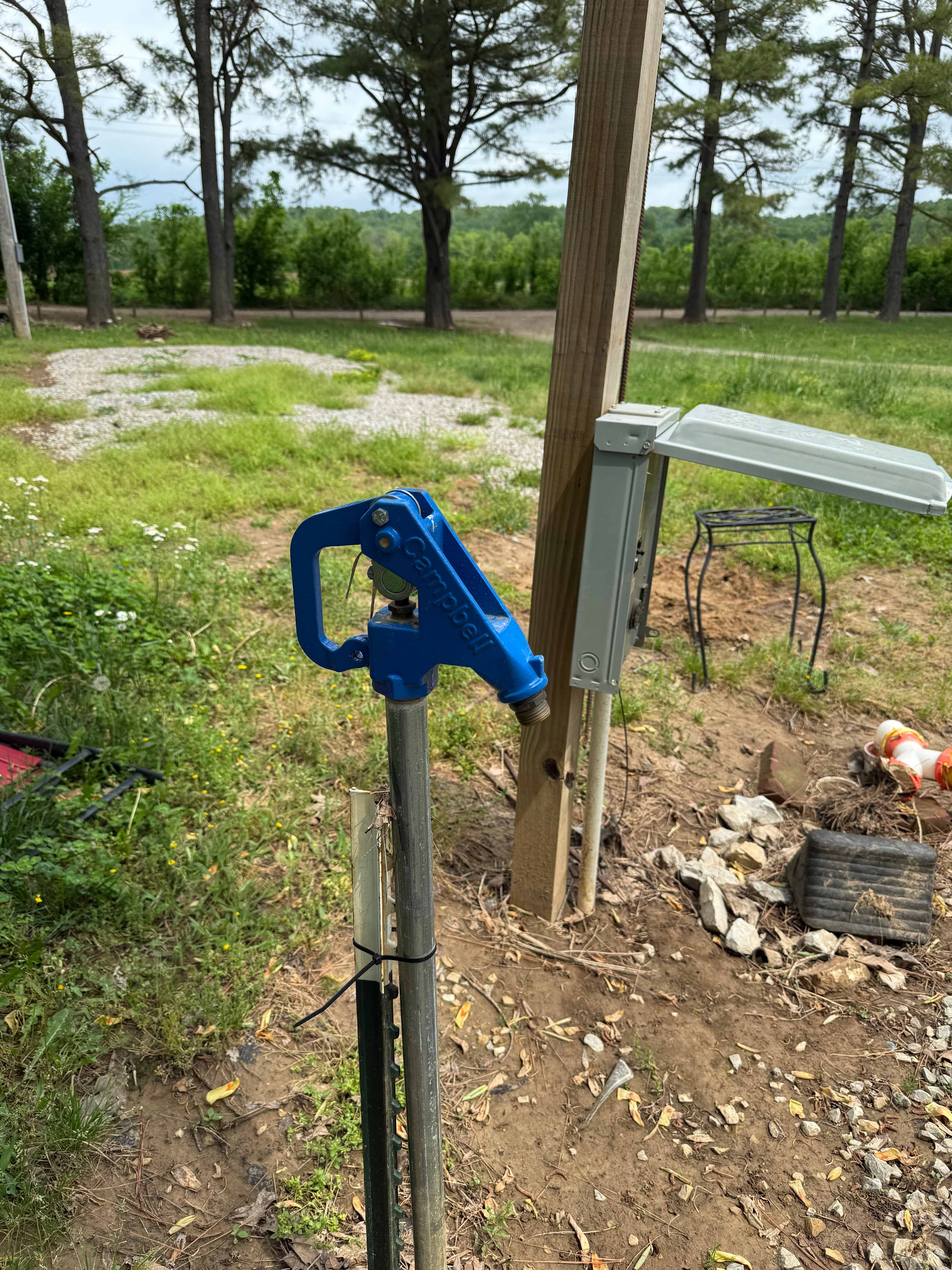 Picture of the site