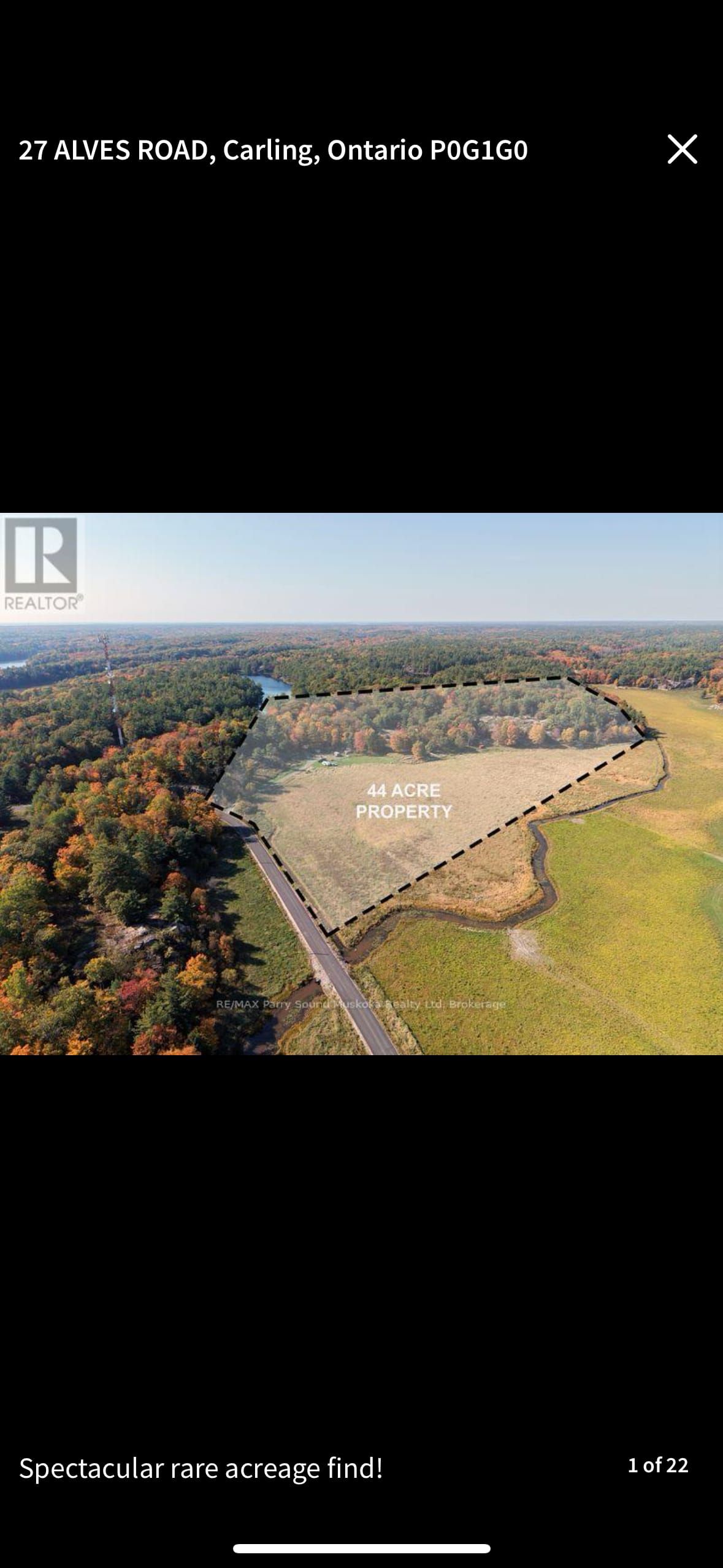 Picture of the site