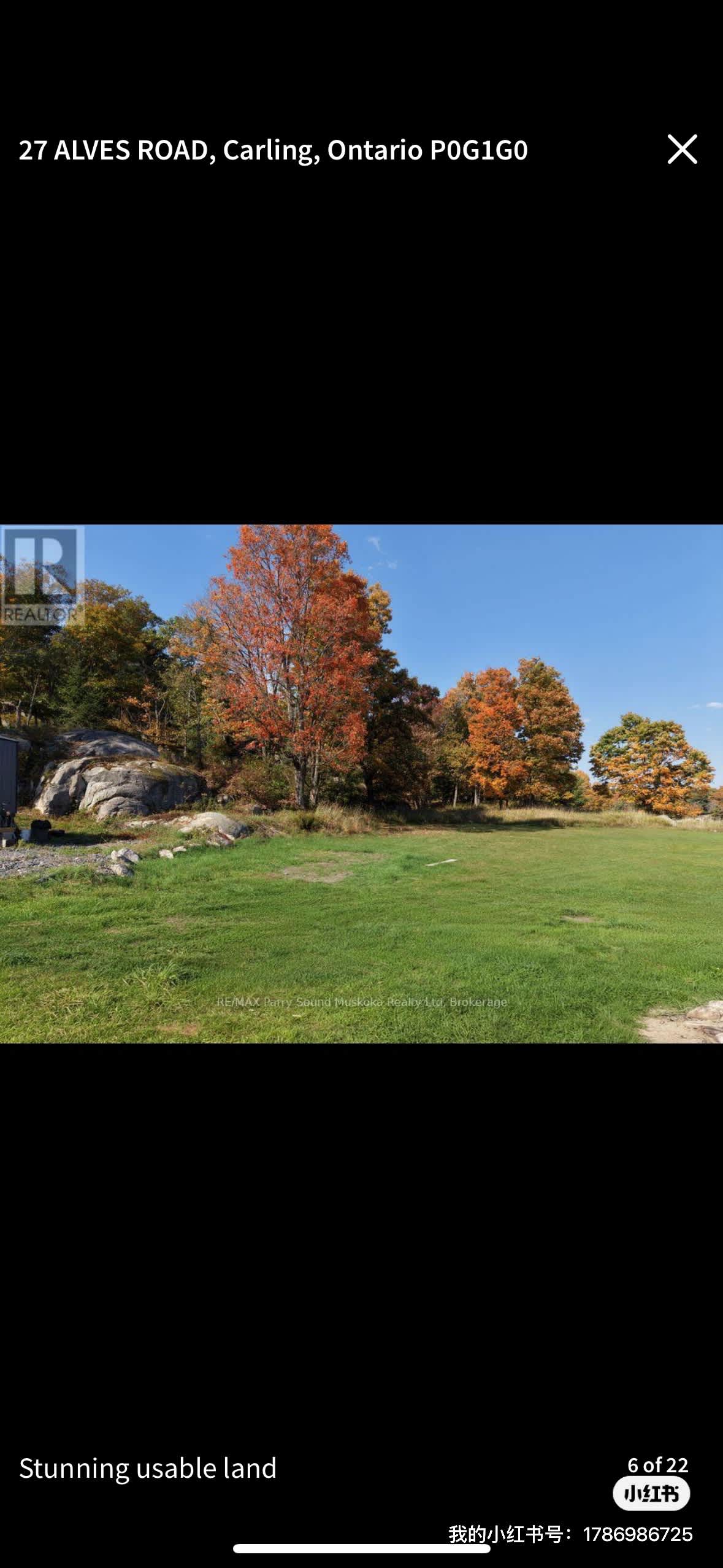 Picture of the site