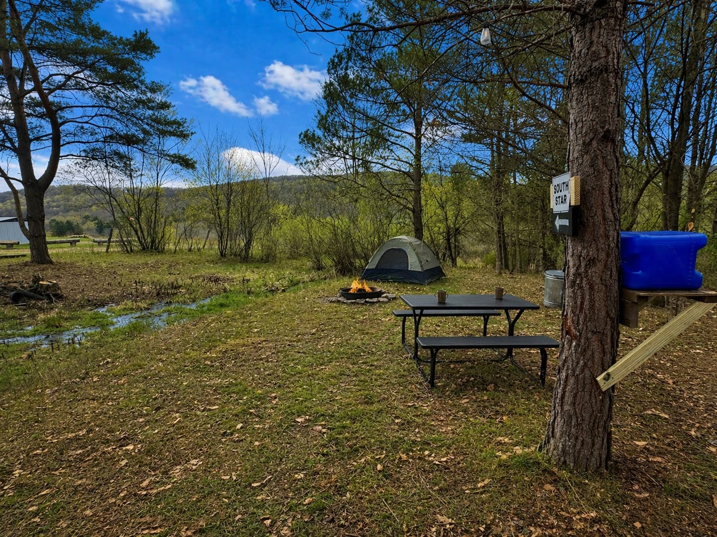 Picture of the site