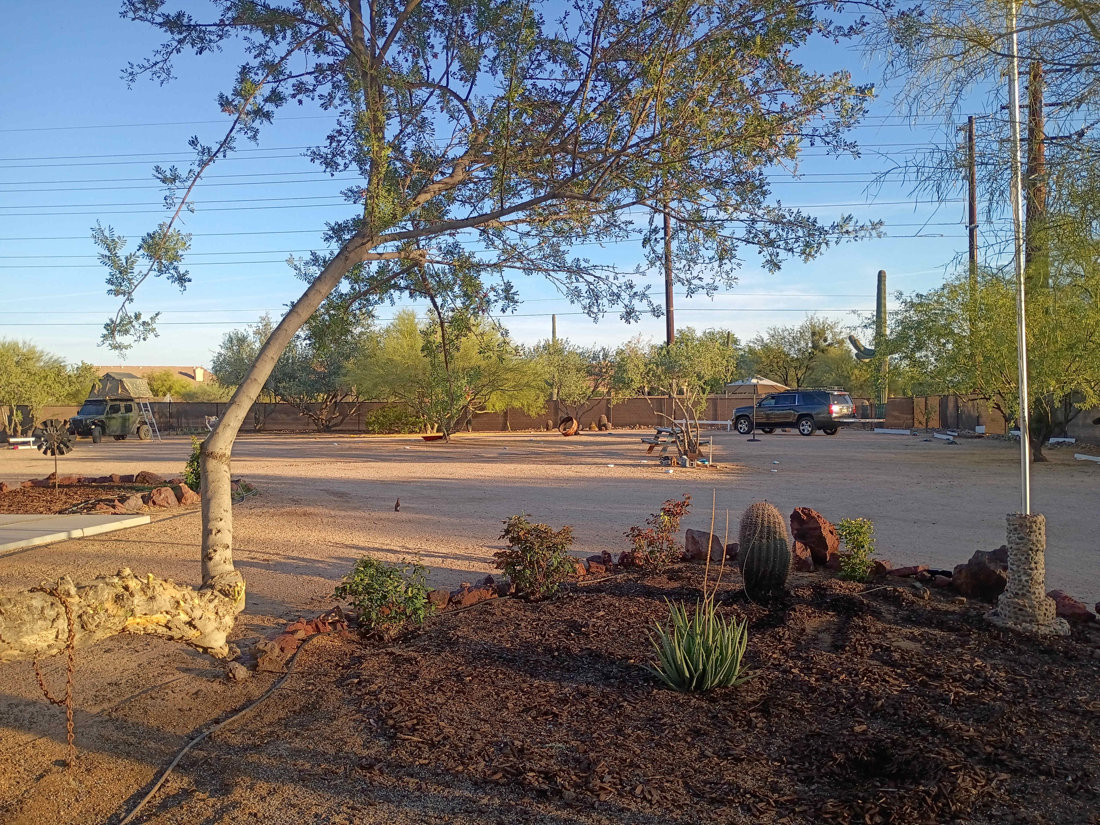 Picture of the site