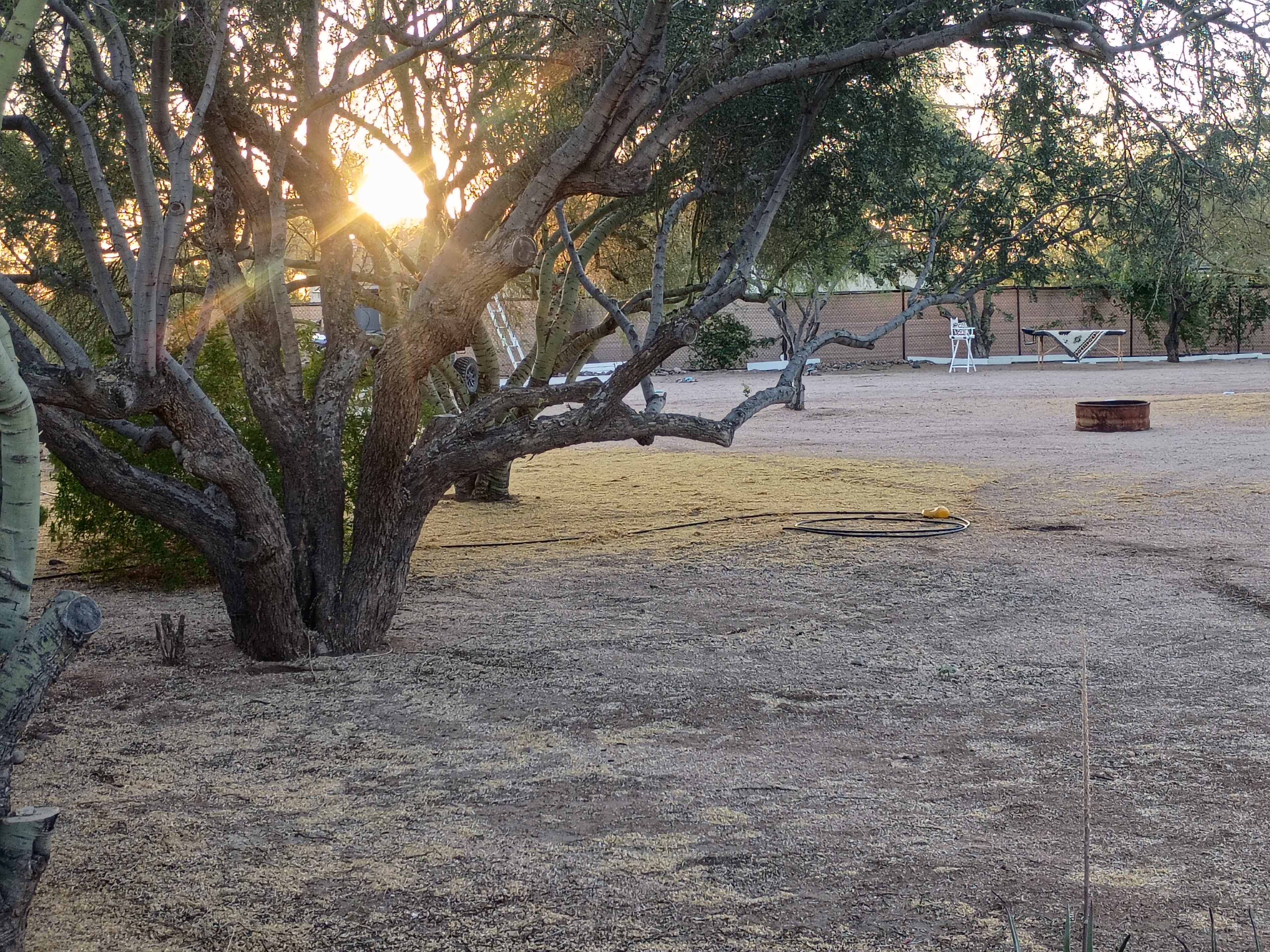 Picture of the site