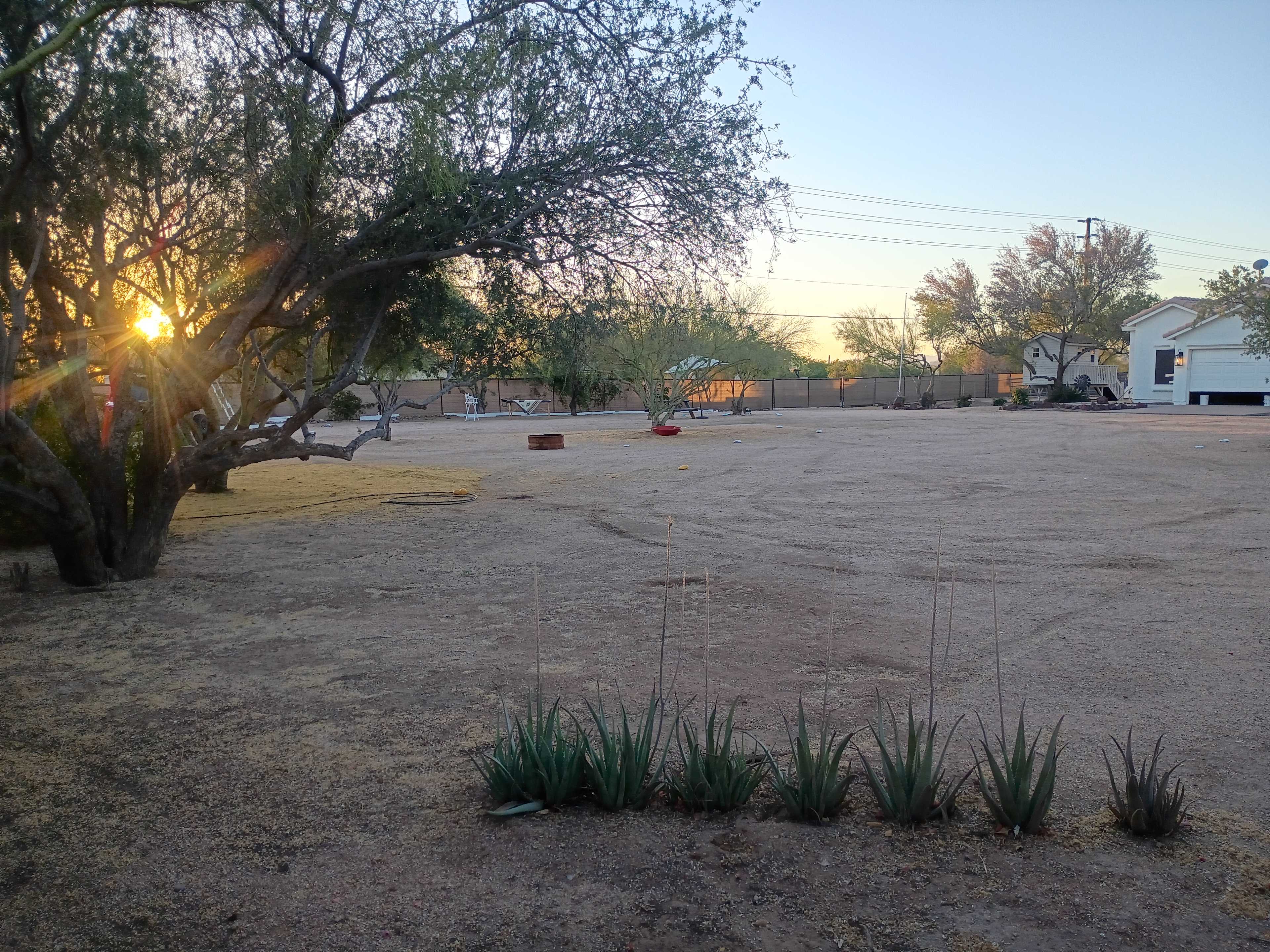 Picture of the site
