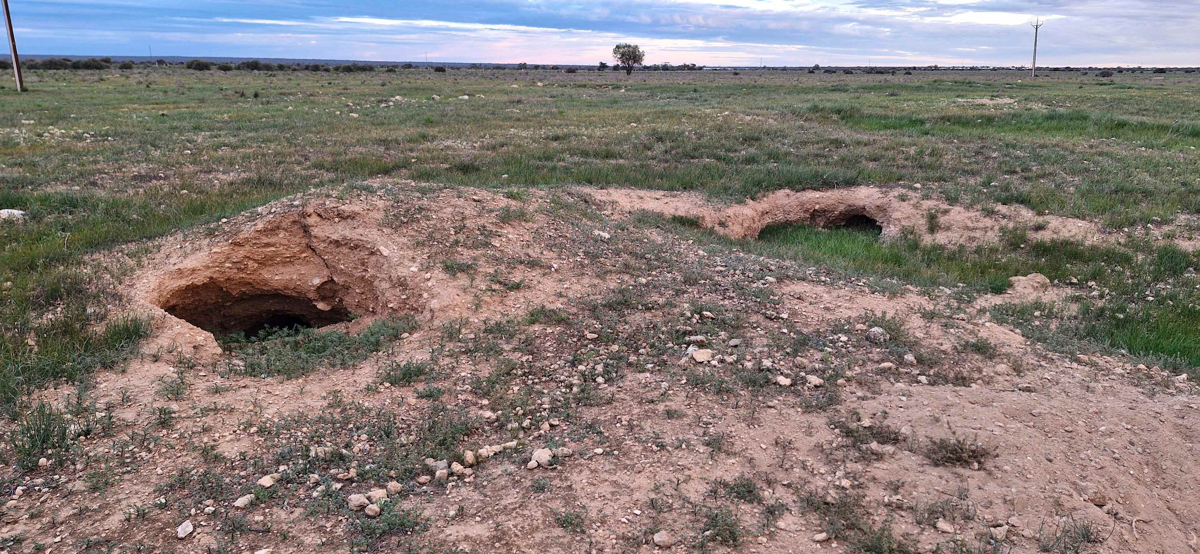 Picture of the site