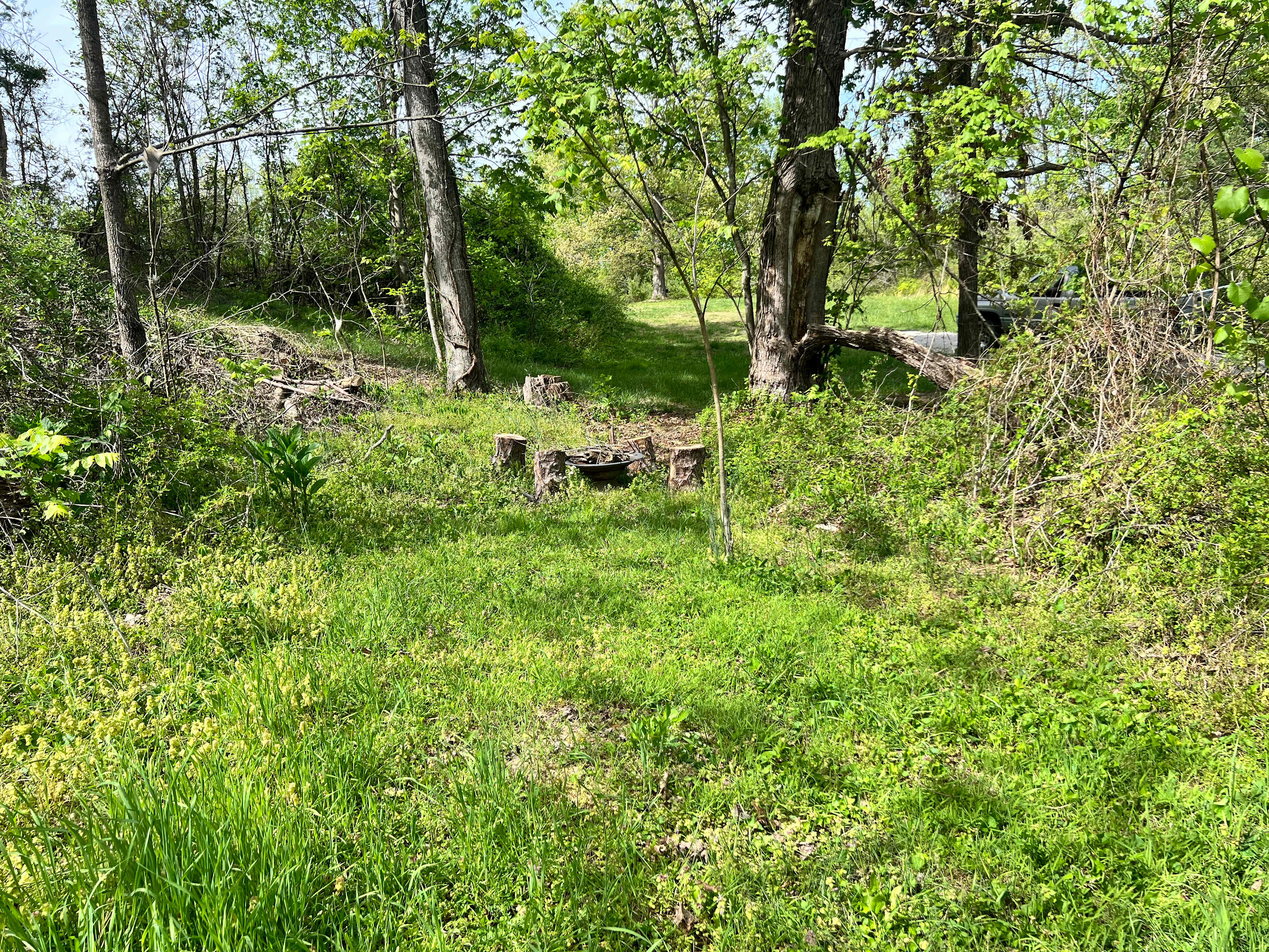 Picture of the site