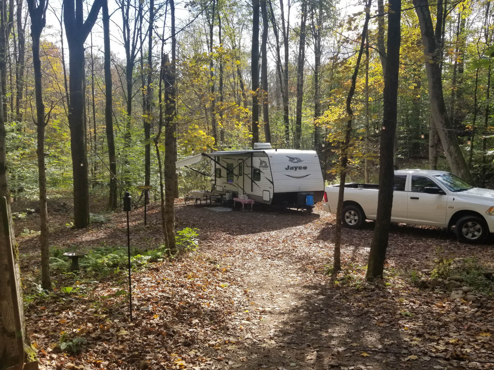 Picture of the site