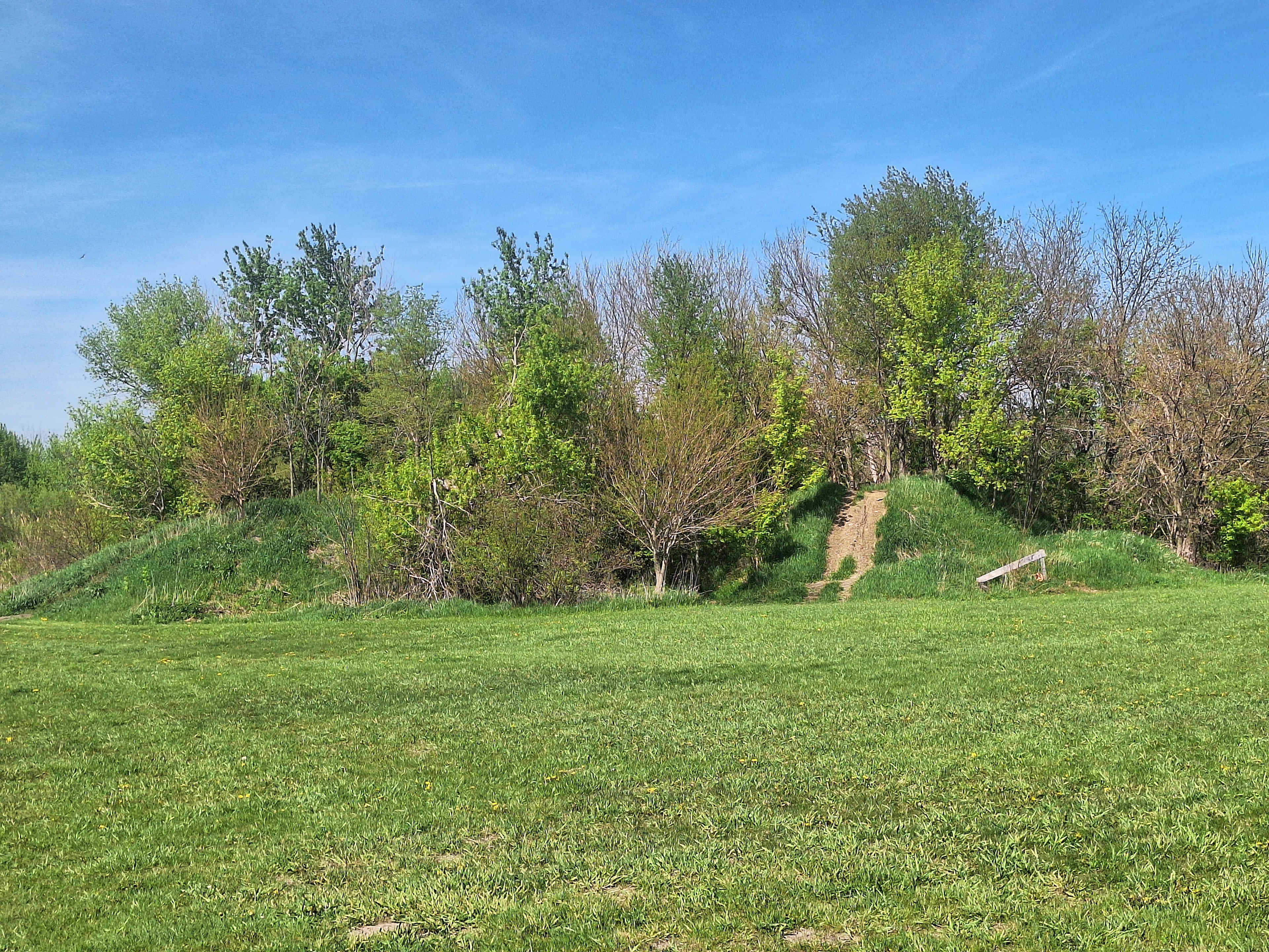 Picture of the site