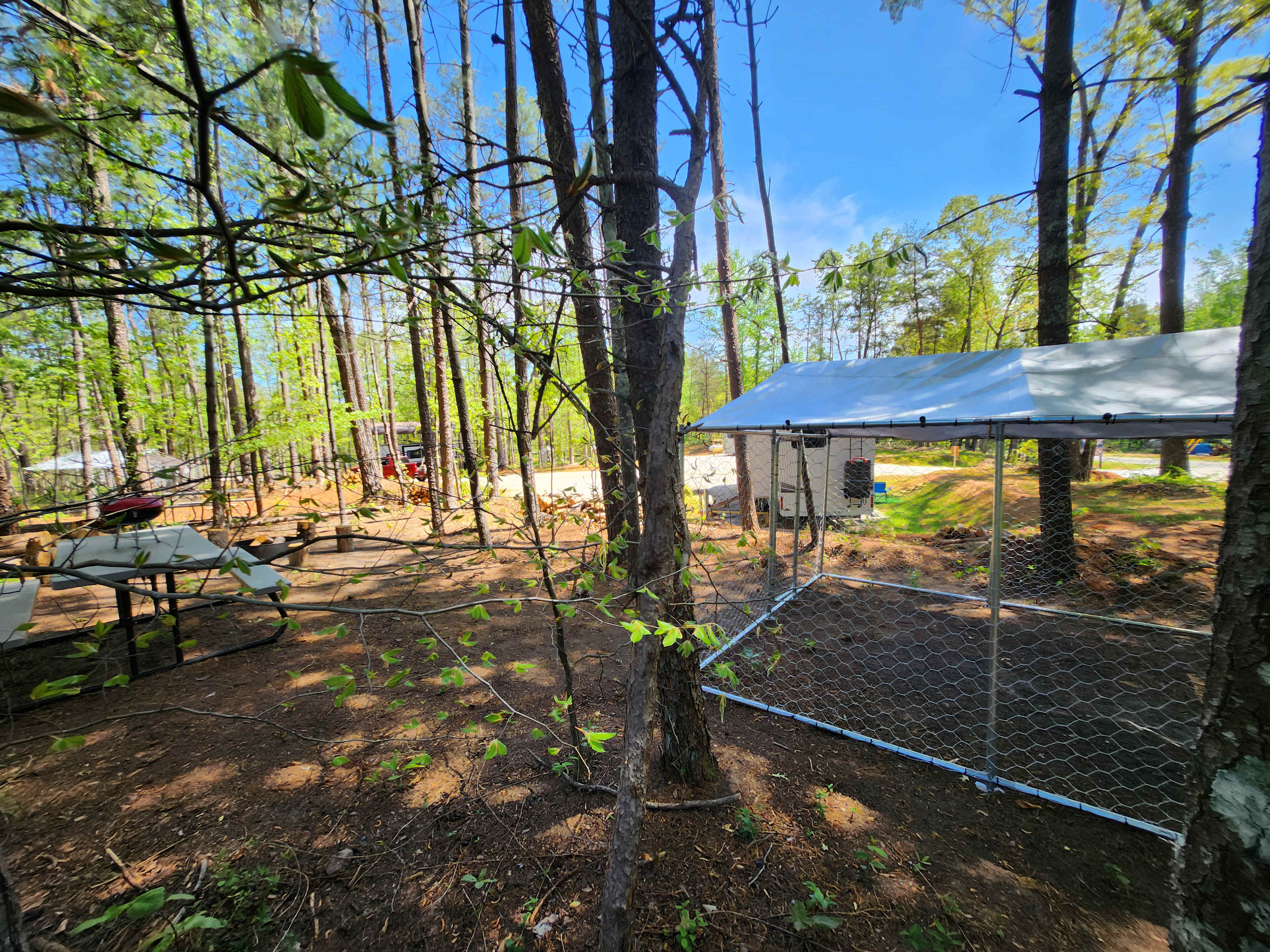 Picture of the site