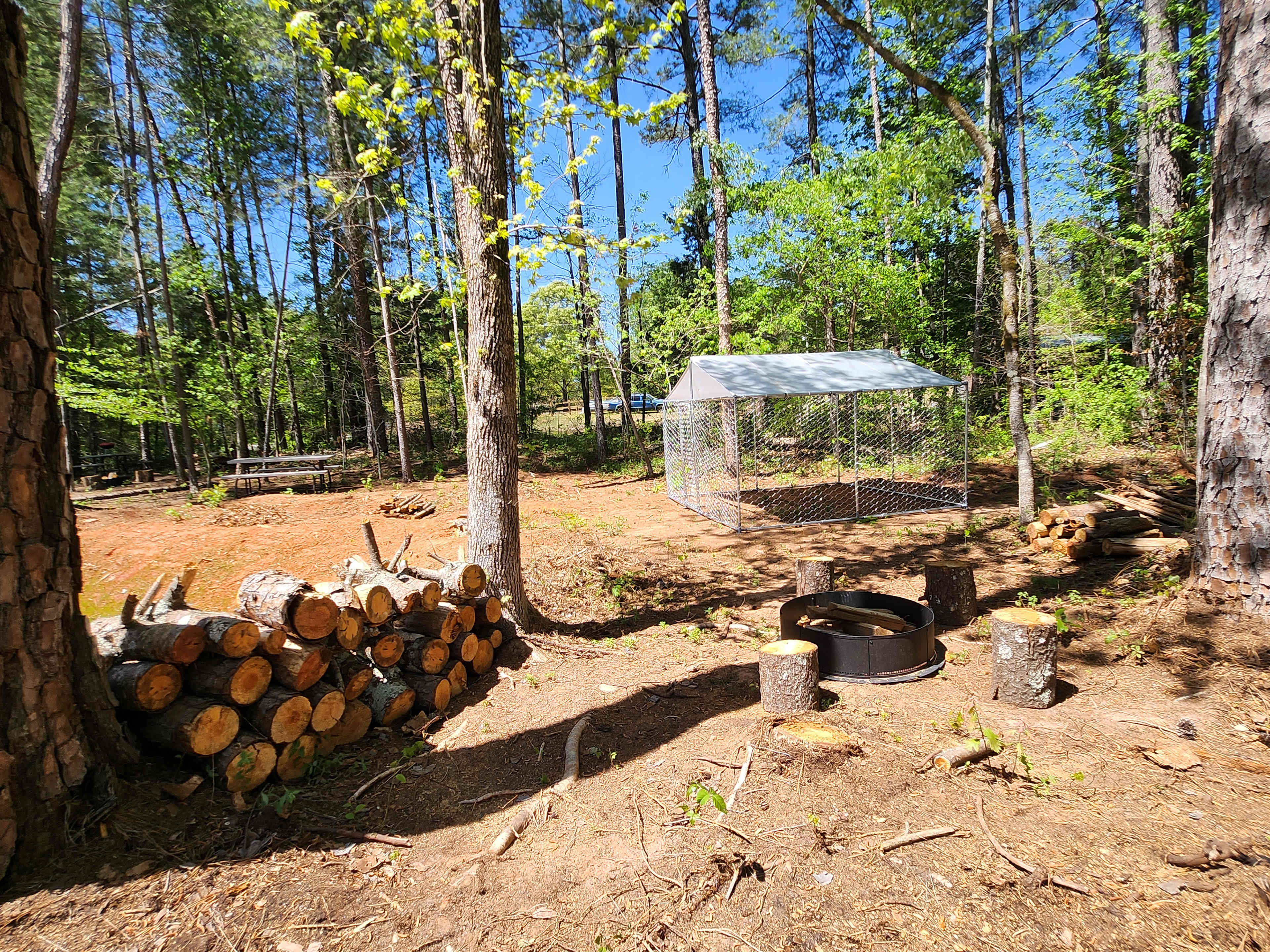 Picture of the site