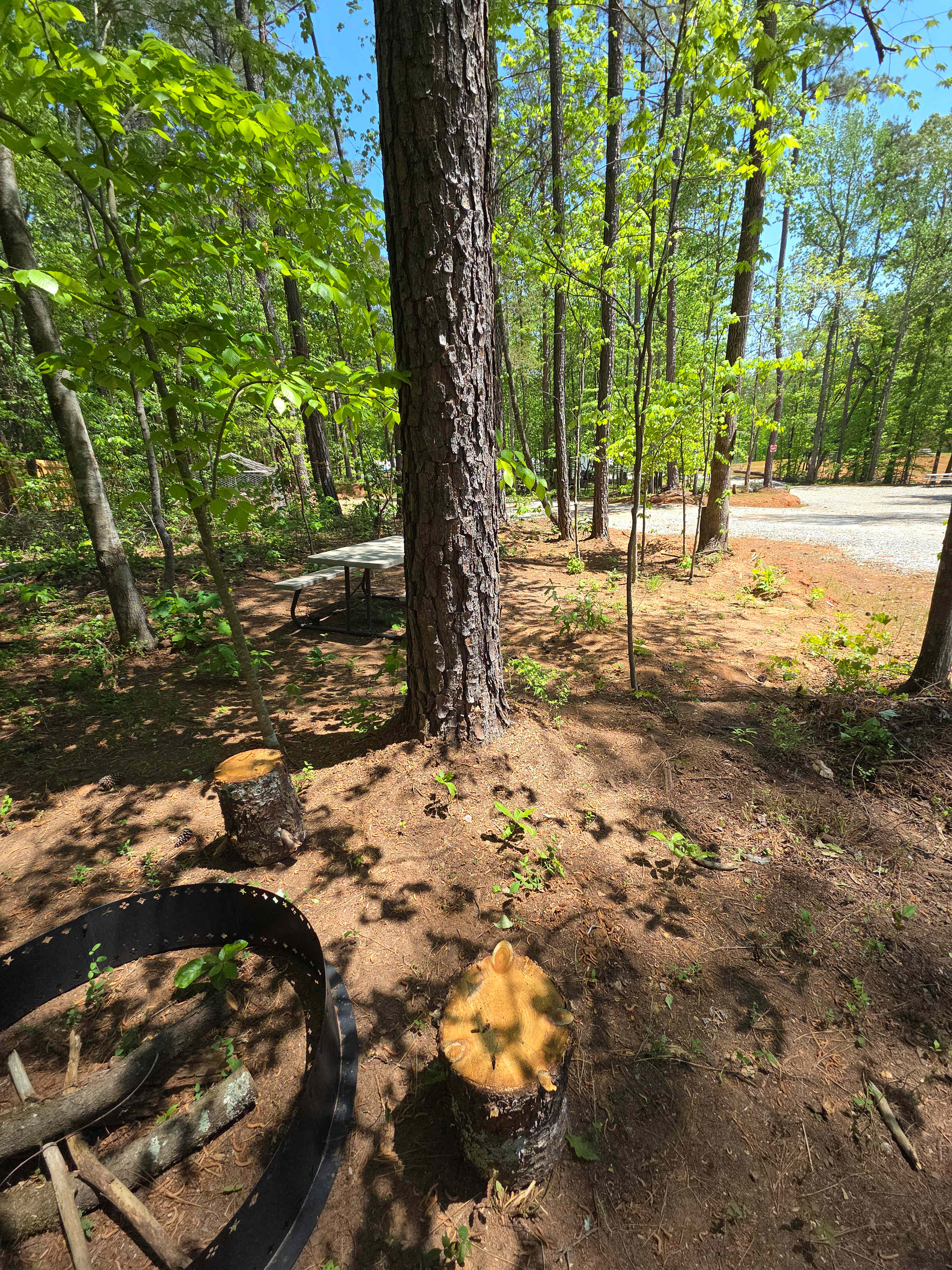 Picture of the site