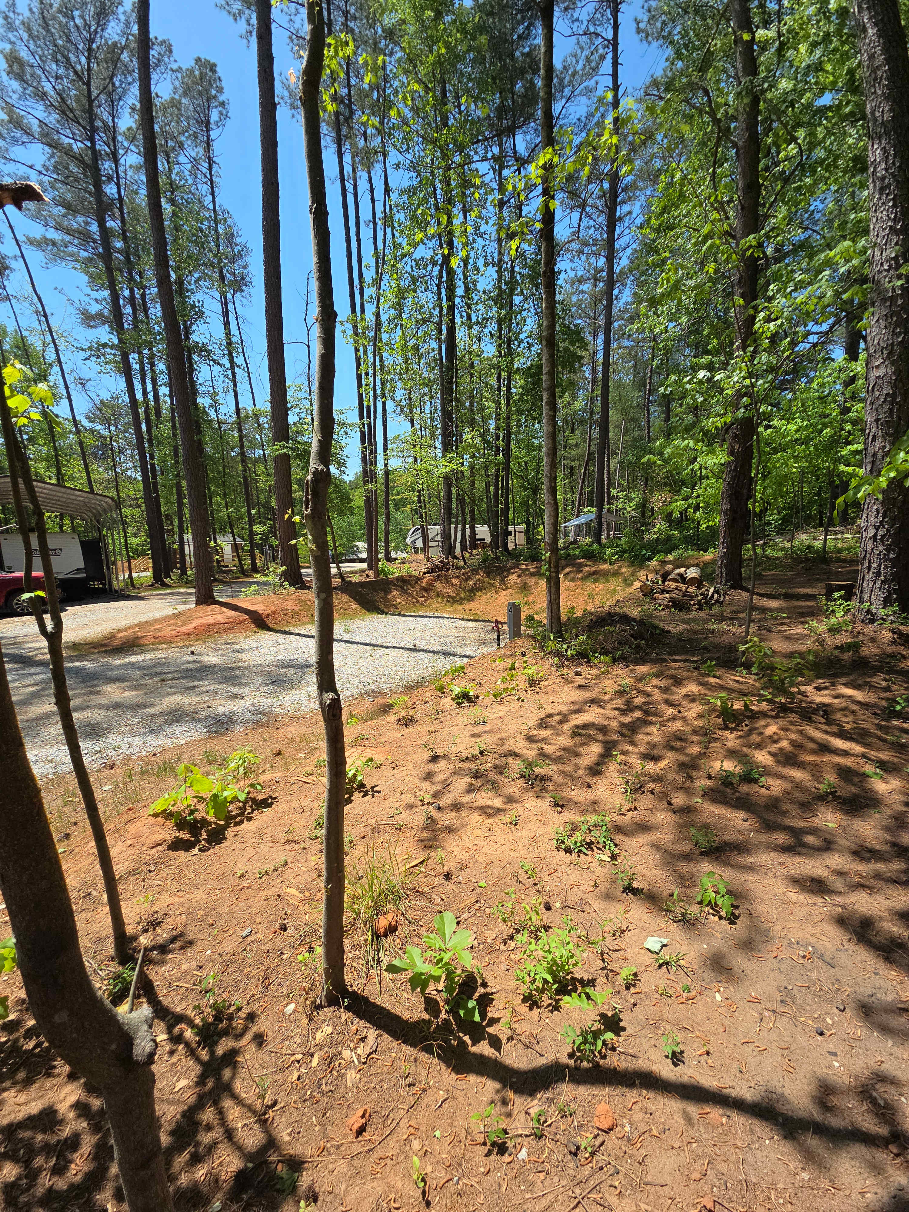Picture of the site