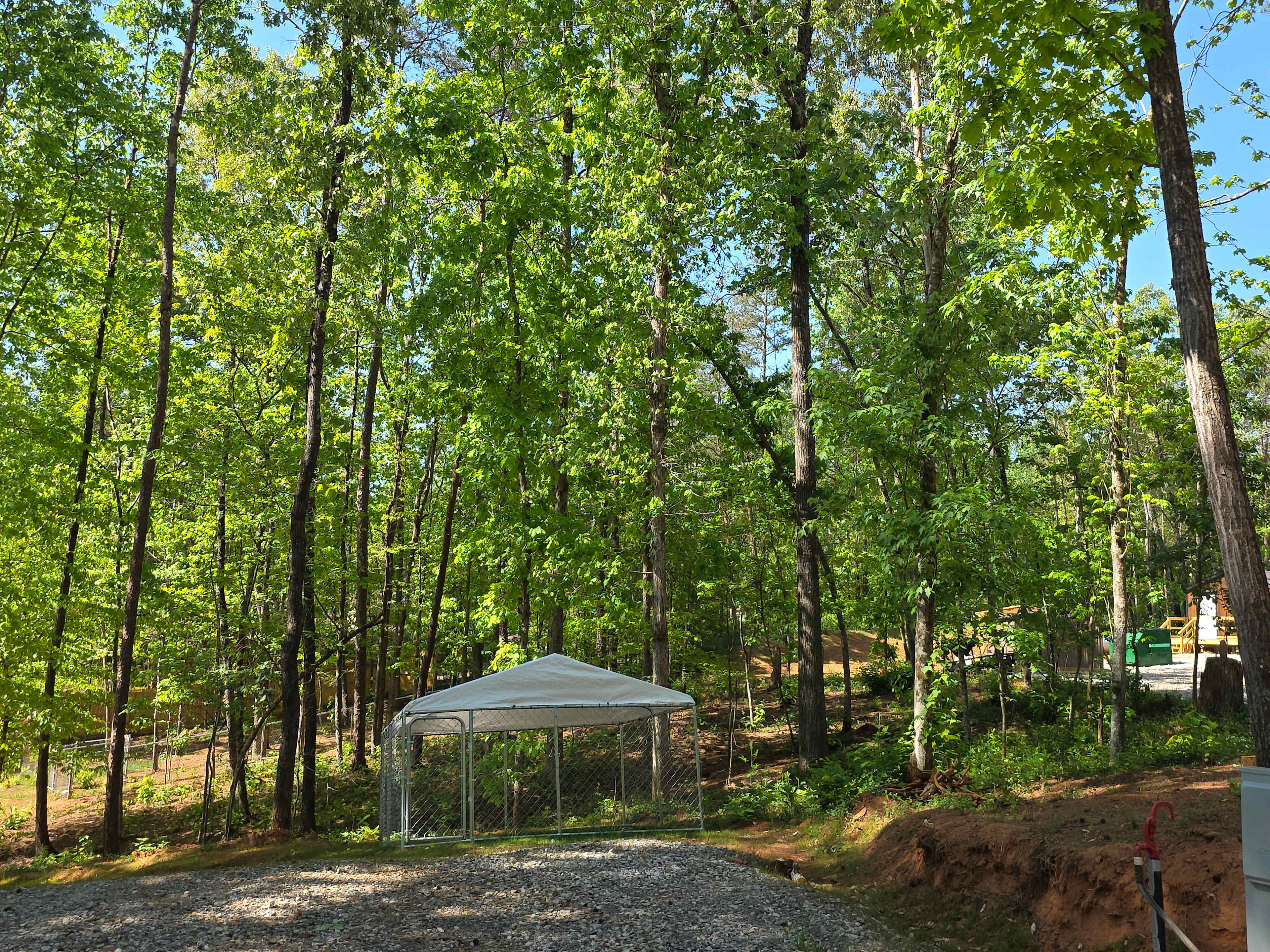 Picture of the site