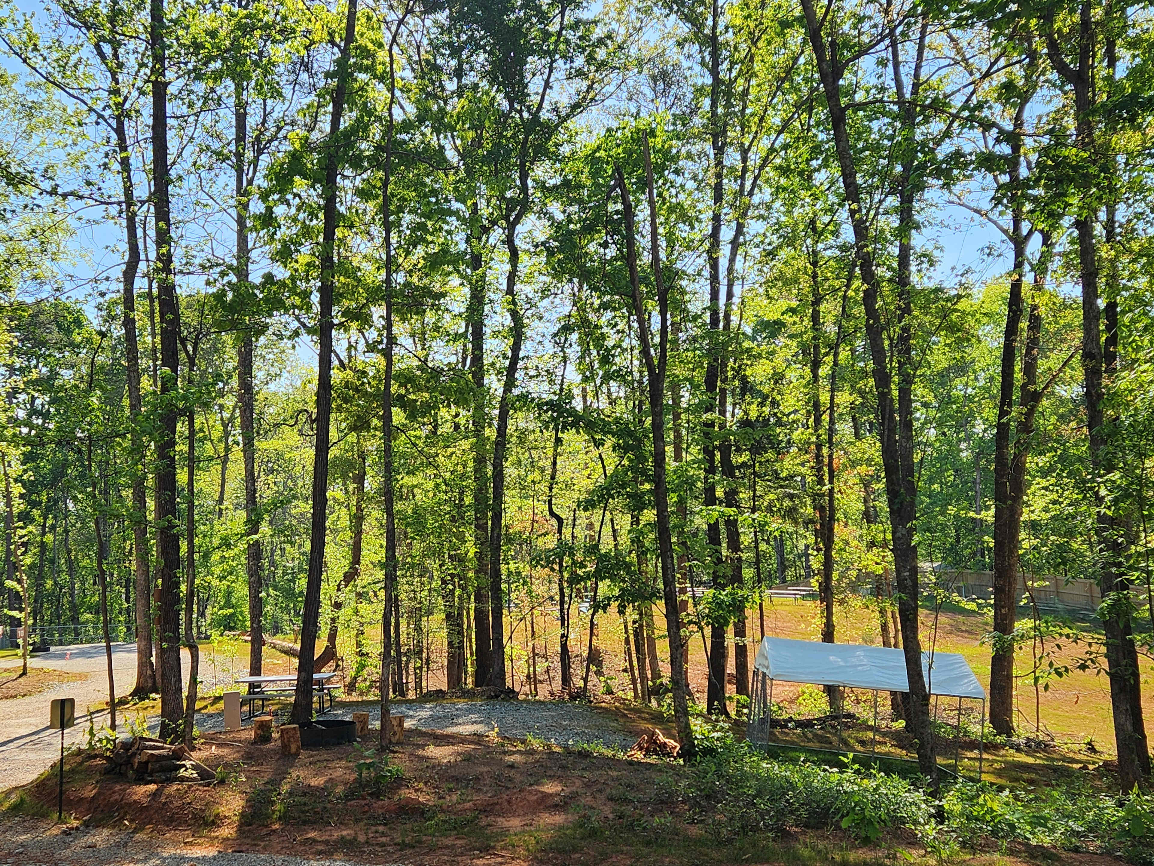 Picture of the site