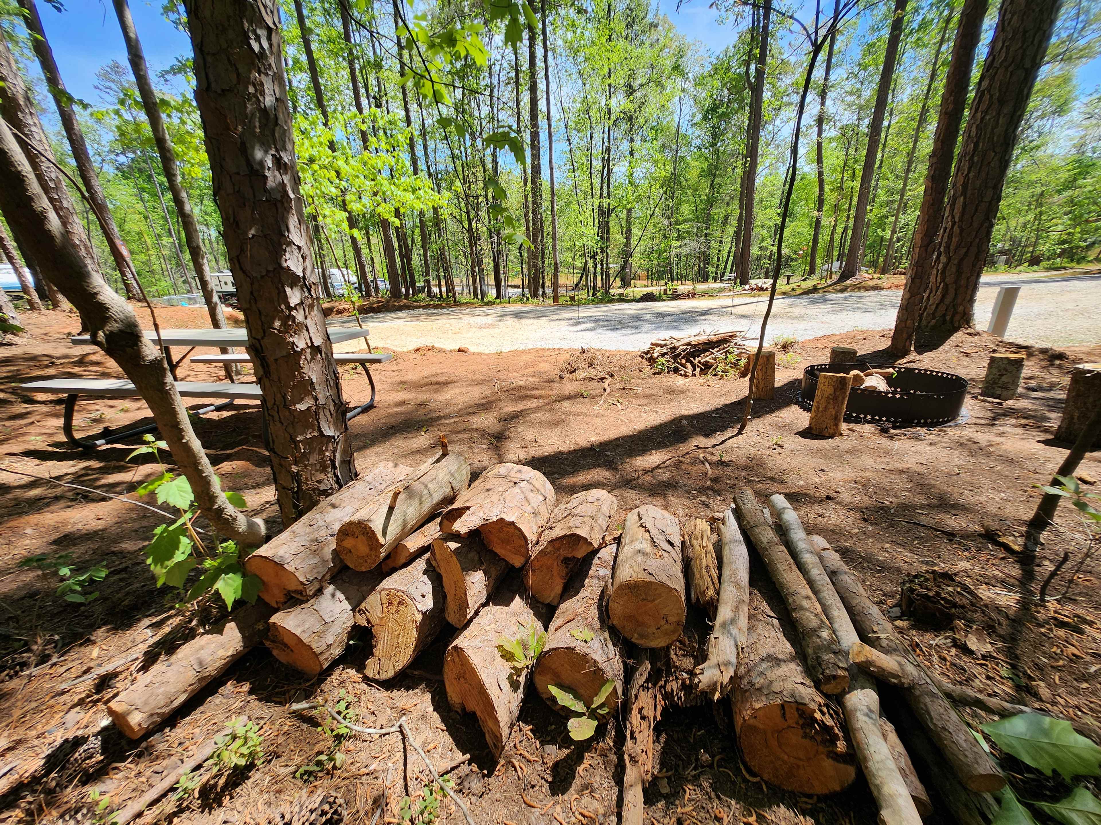 Picture of the site
