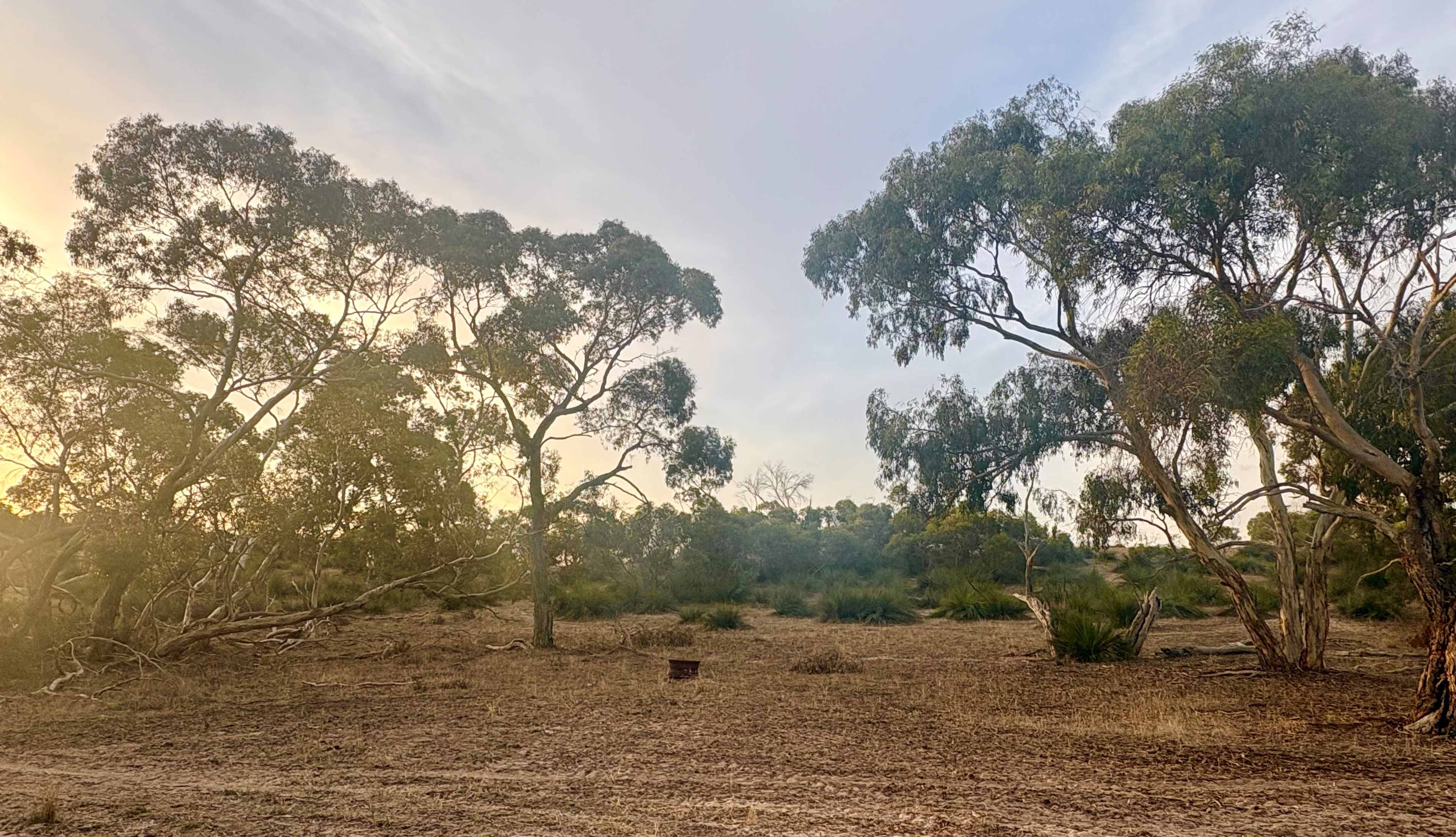 Picture of the site