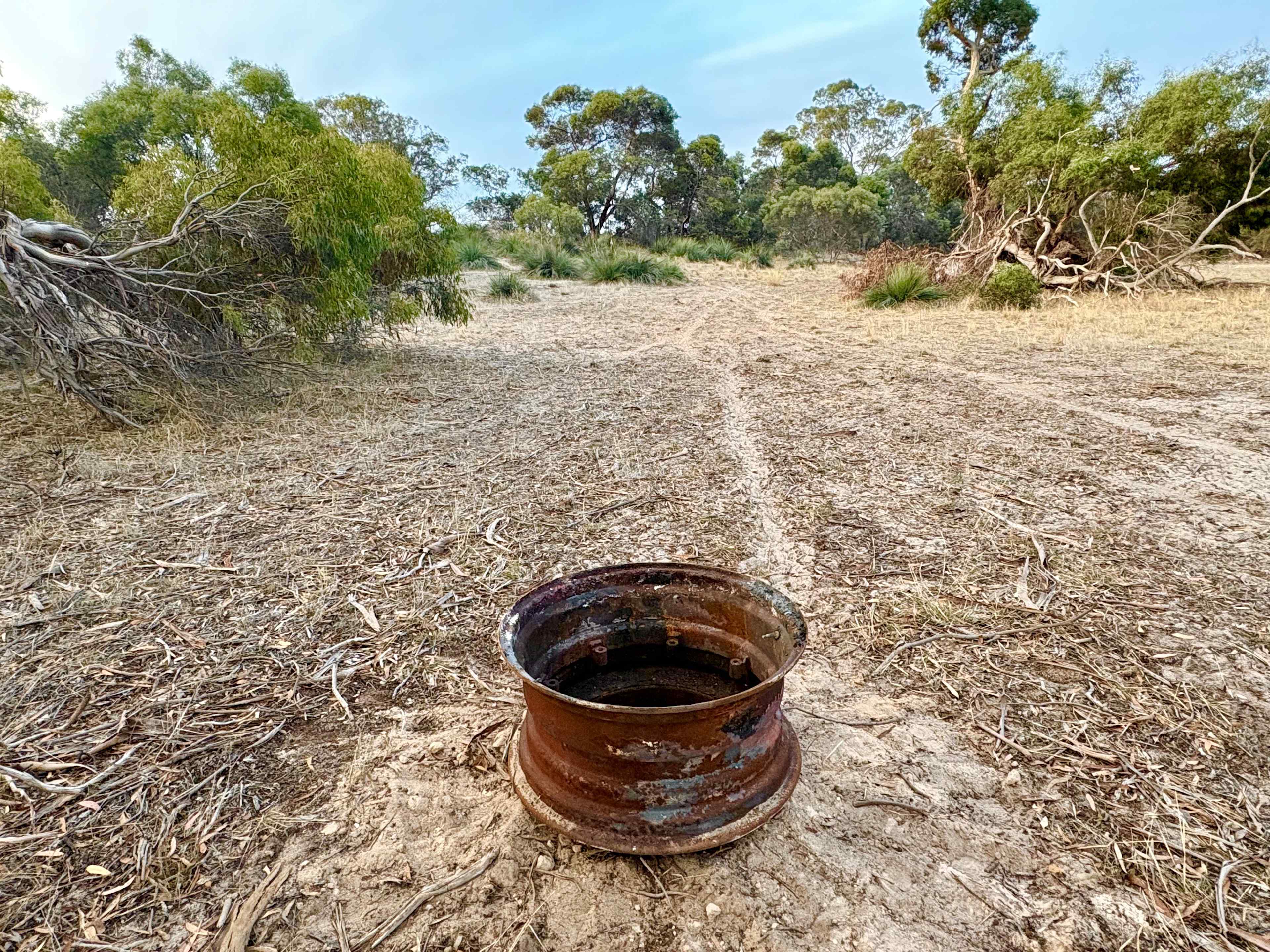 Picture of the site