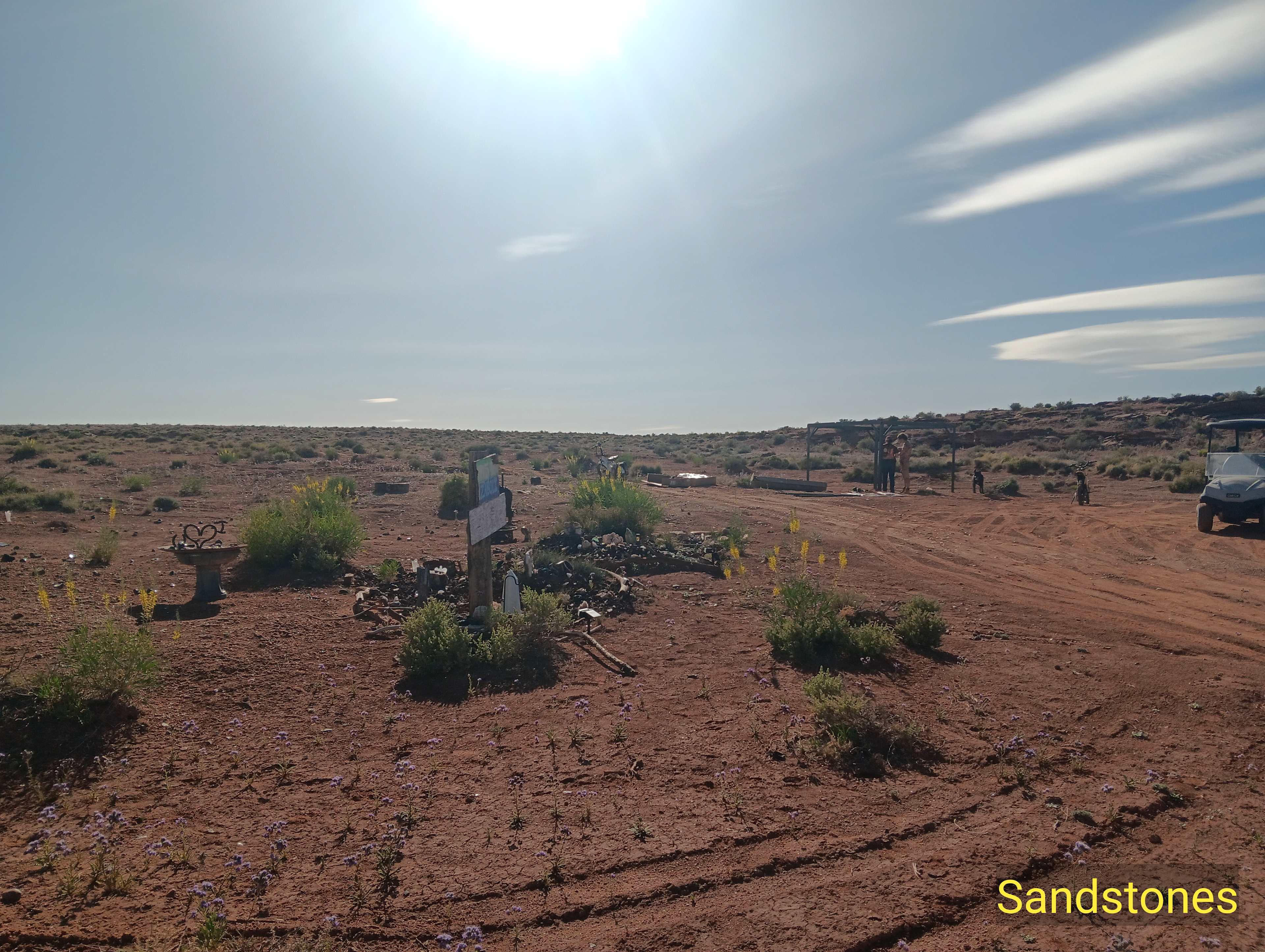 Picture of the site