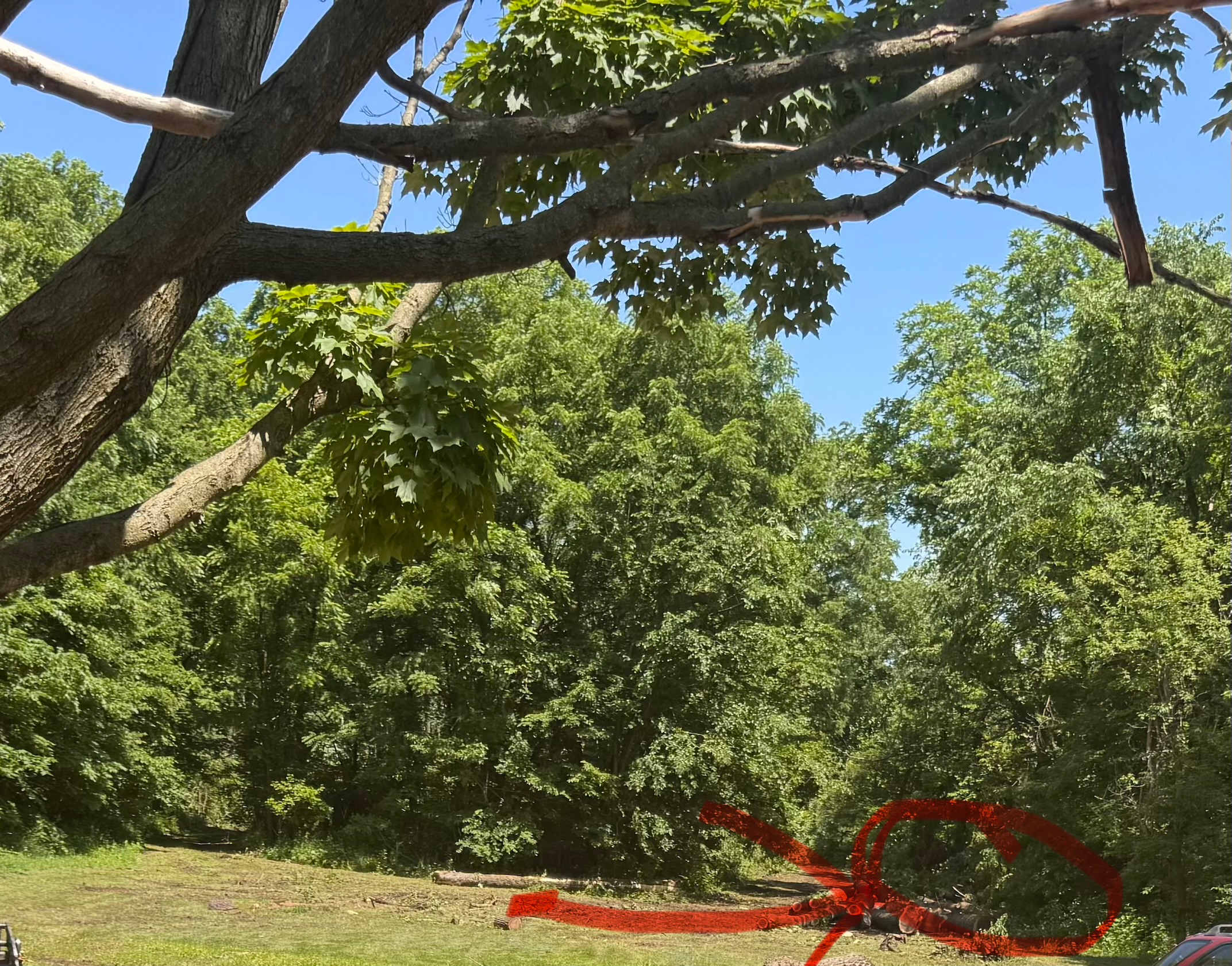 Picture of the site