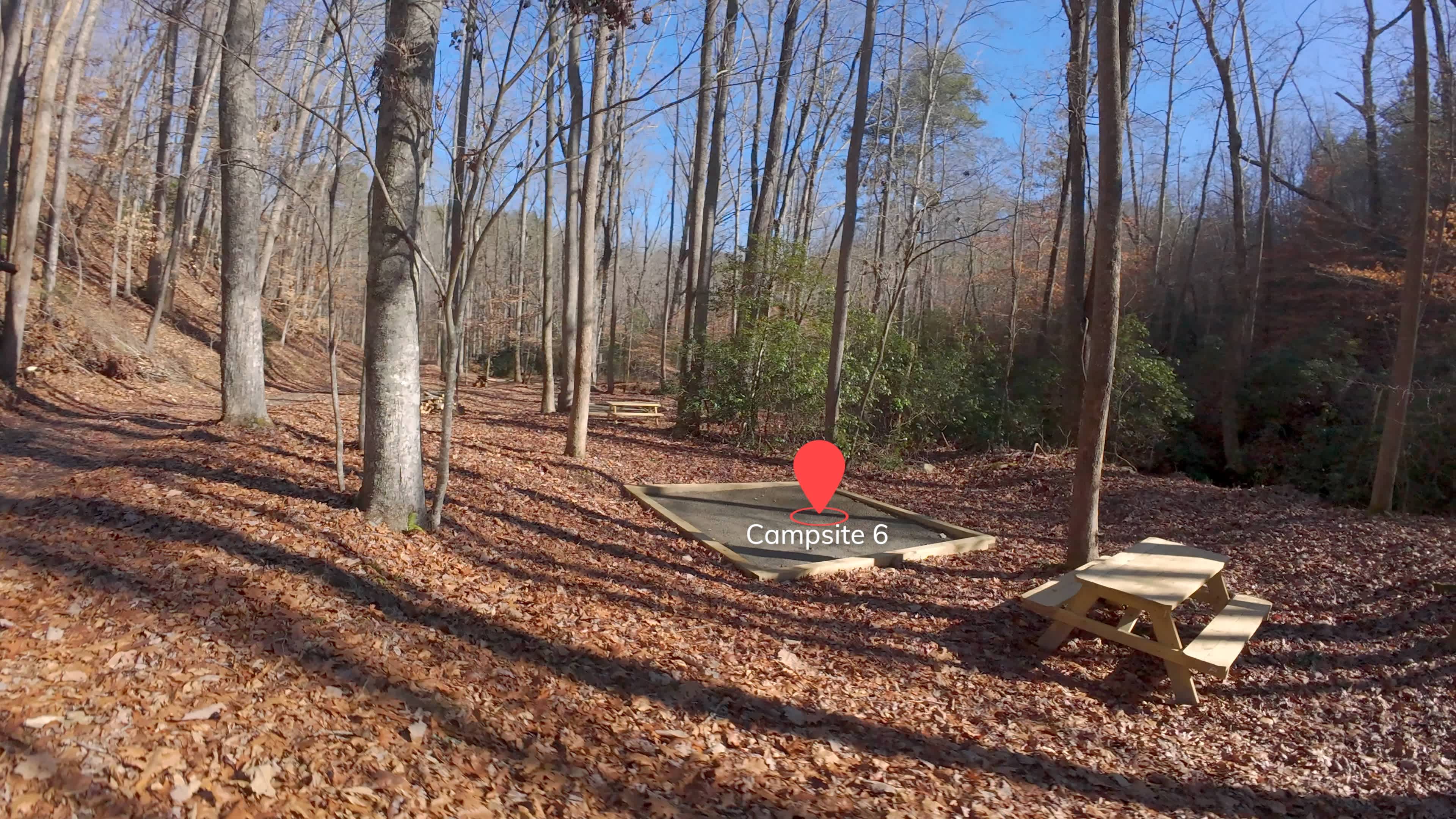 Picture of the site