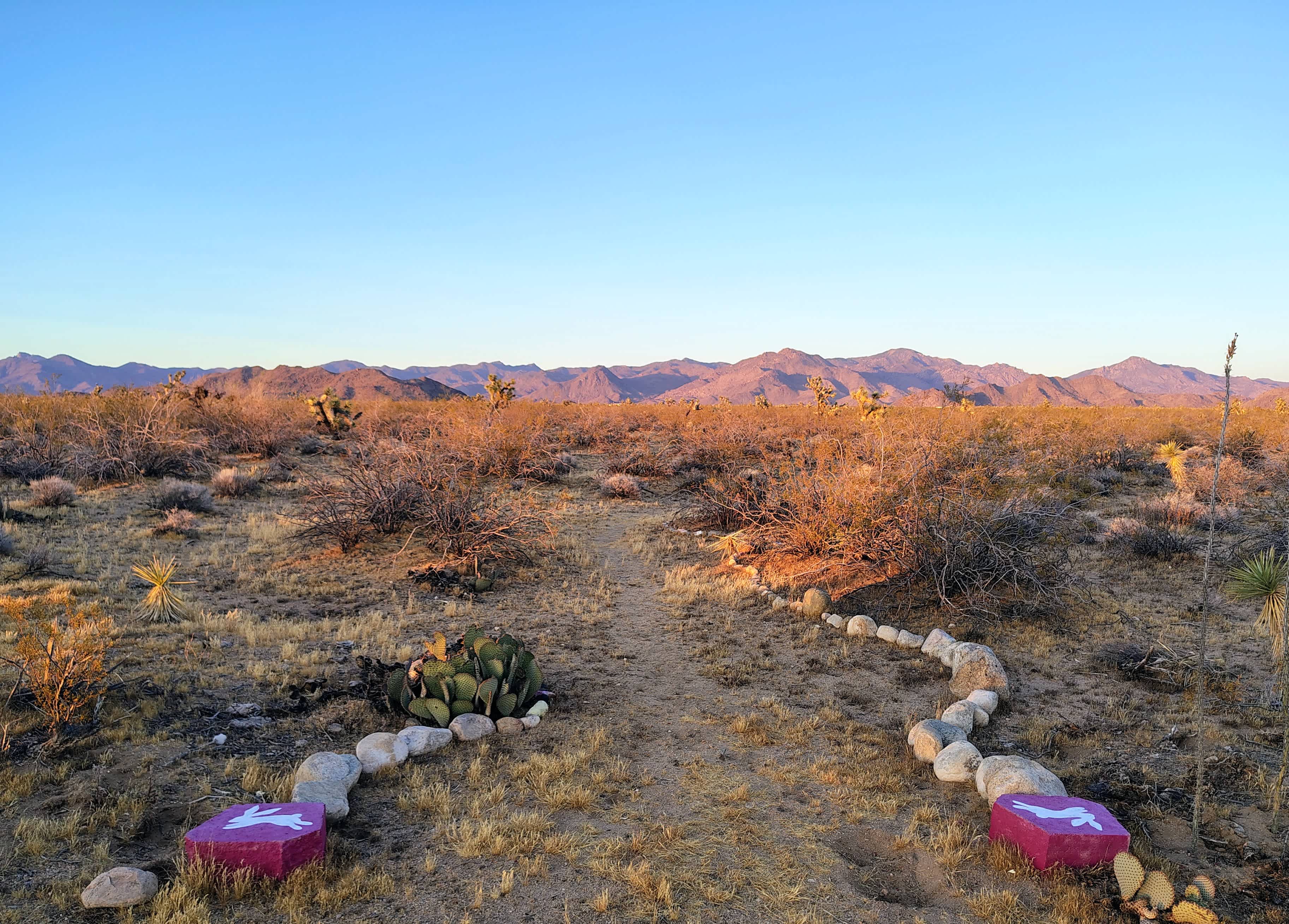 Picture of the site