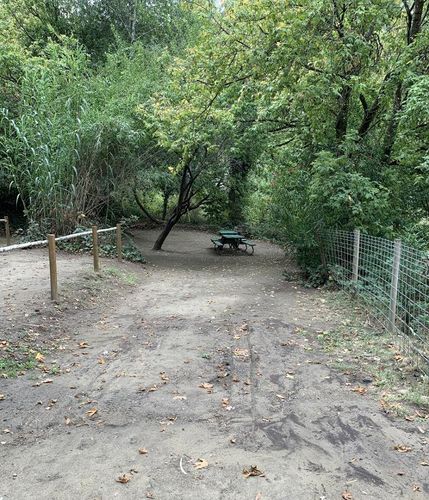 Picture of the site