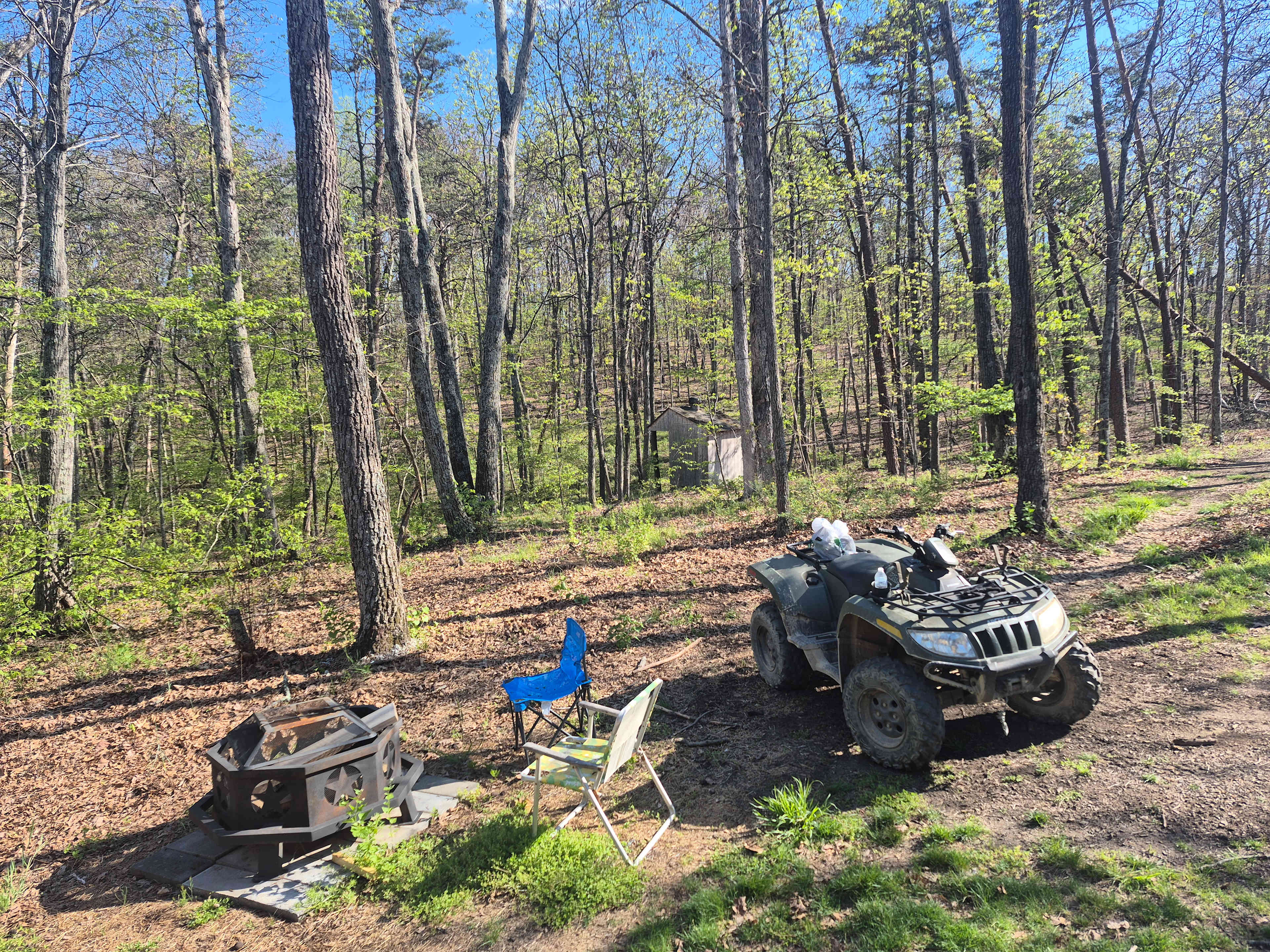Picture of the site