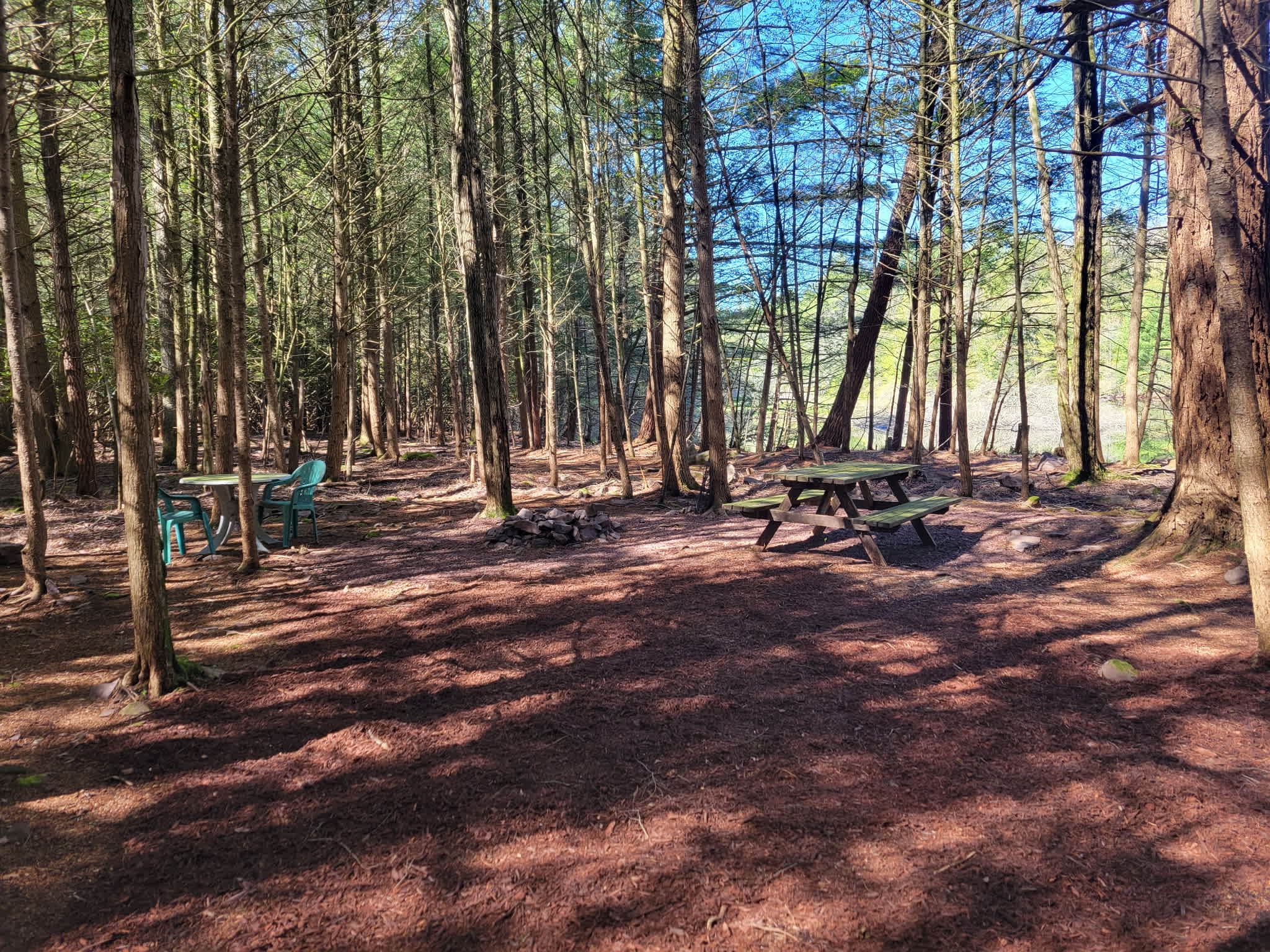 Picture of the site