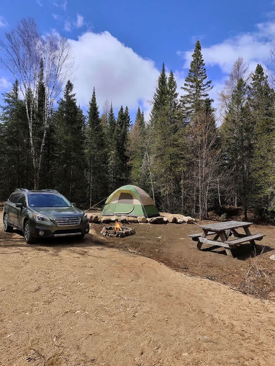 Picture of the site