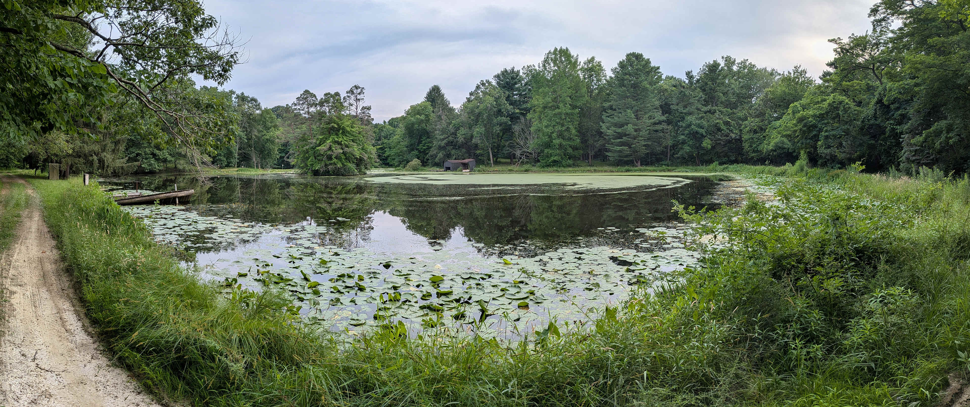 Picture of the site