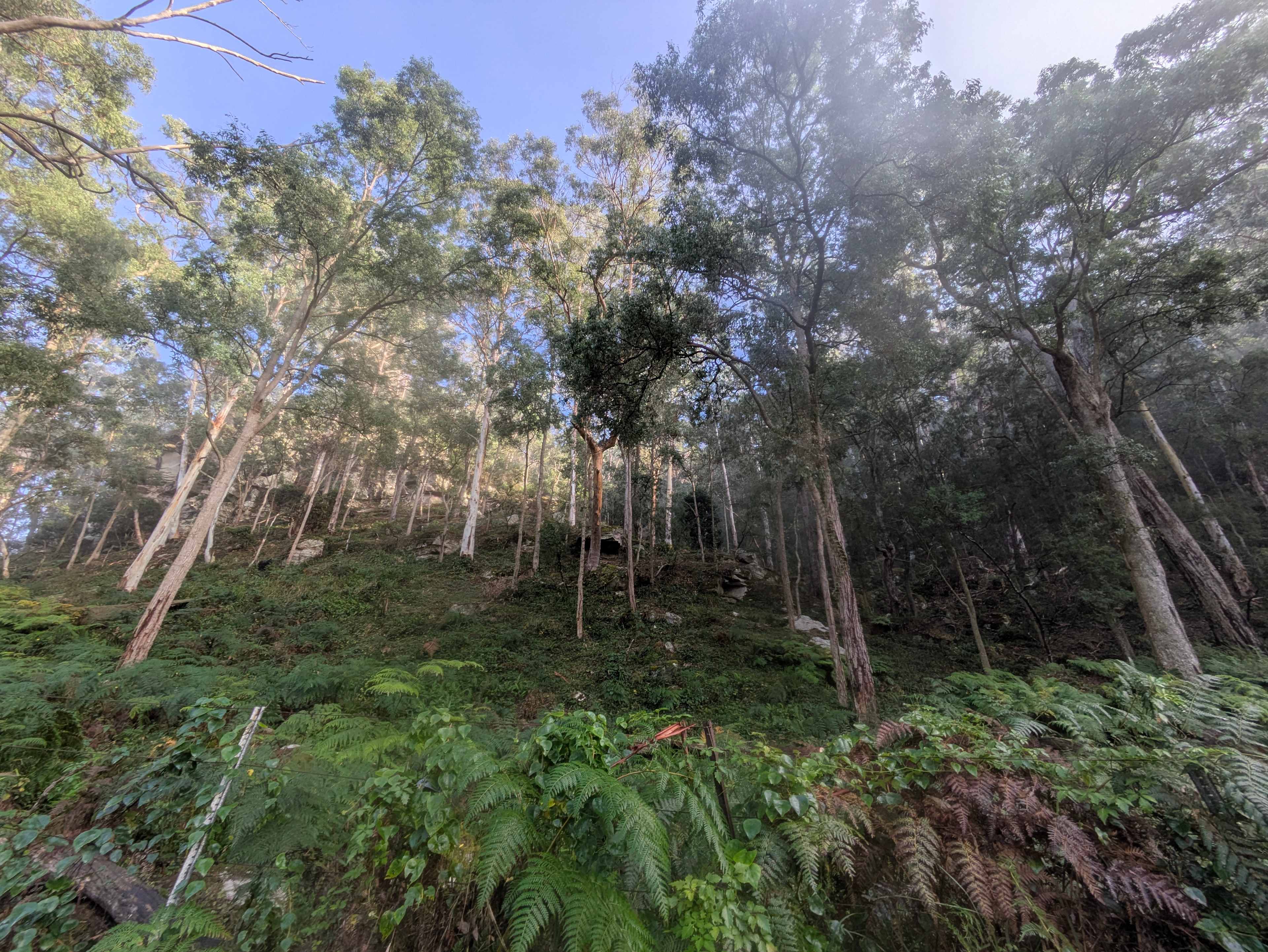 Picture of the site