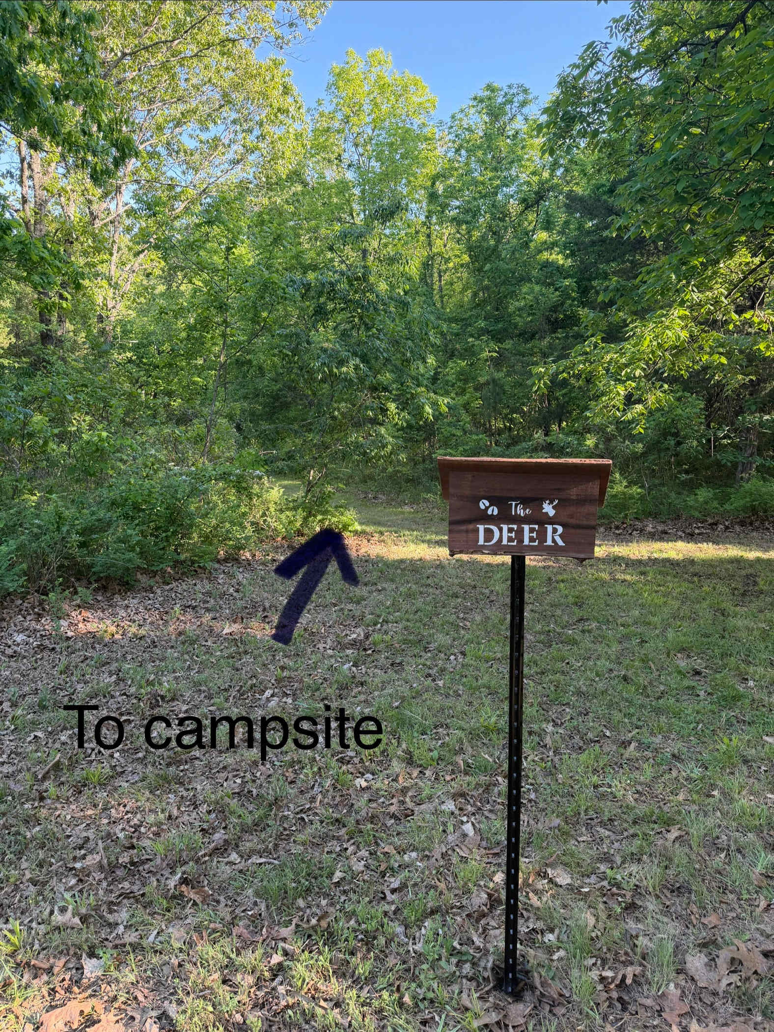 Picture of the site