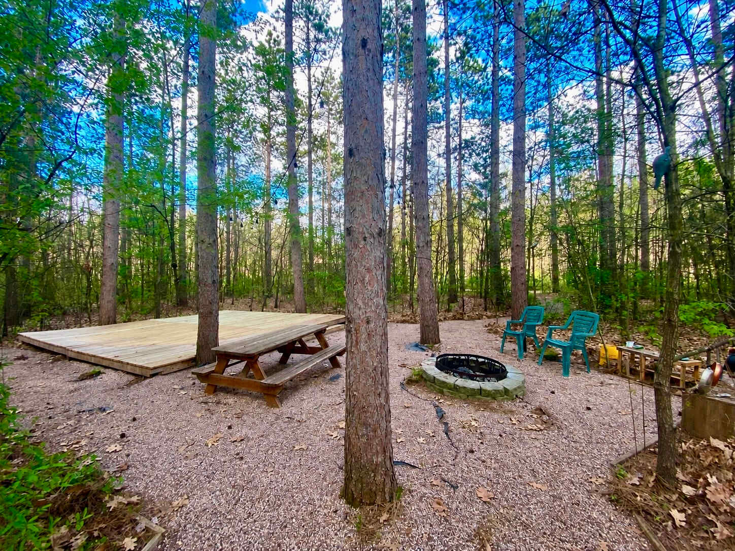 Picture of the site