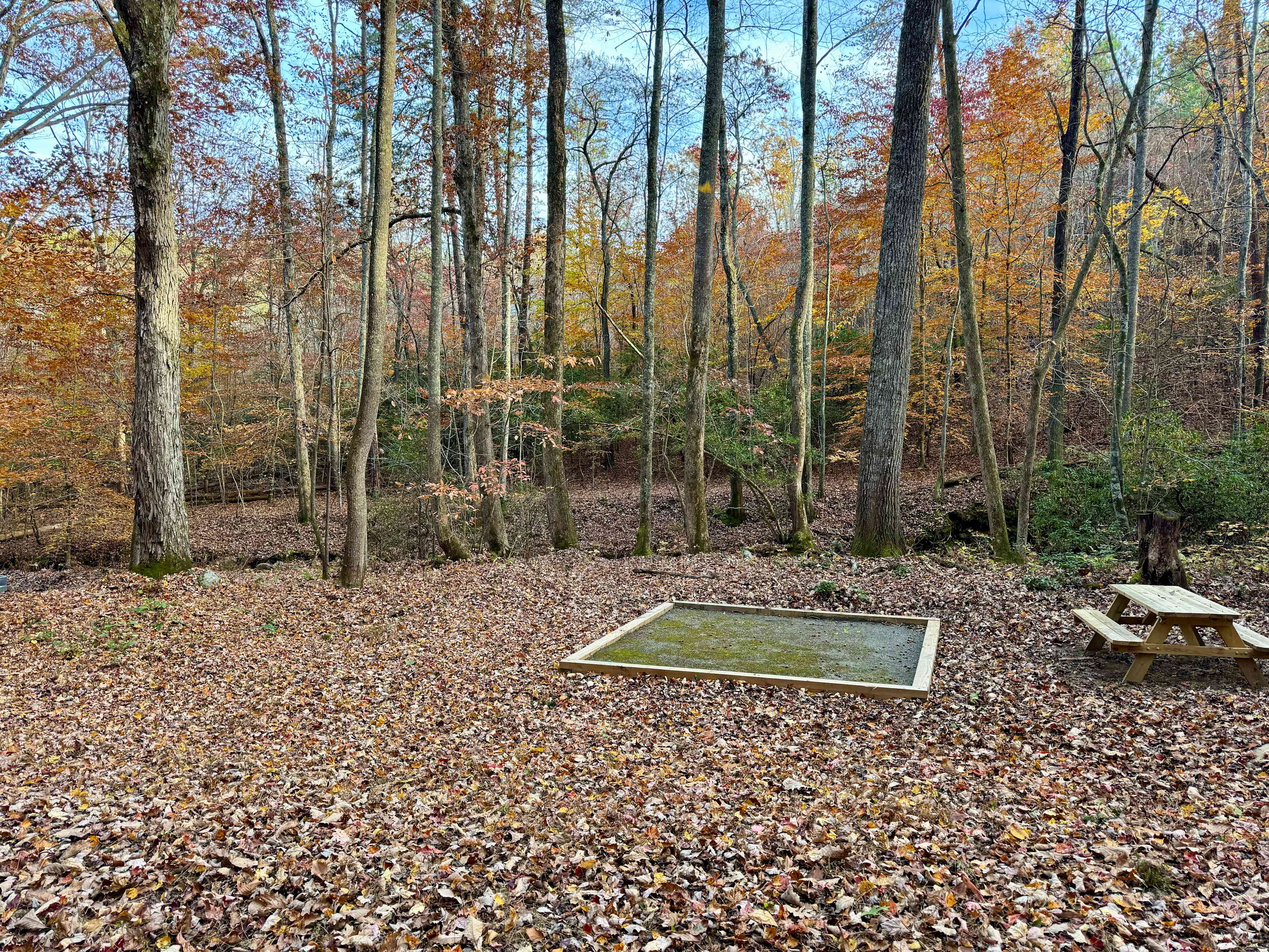 Picture of the site