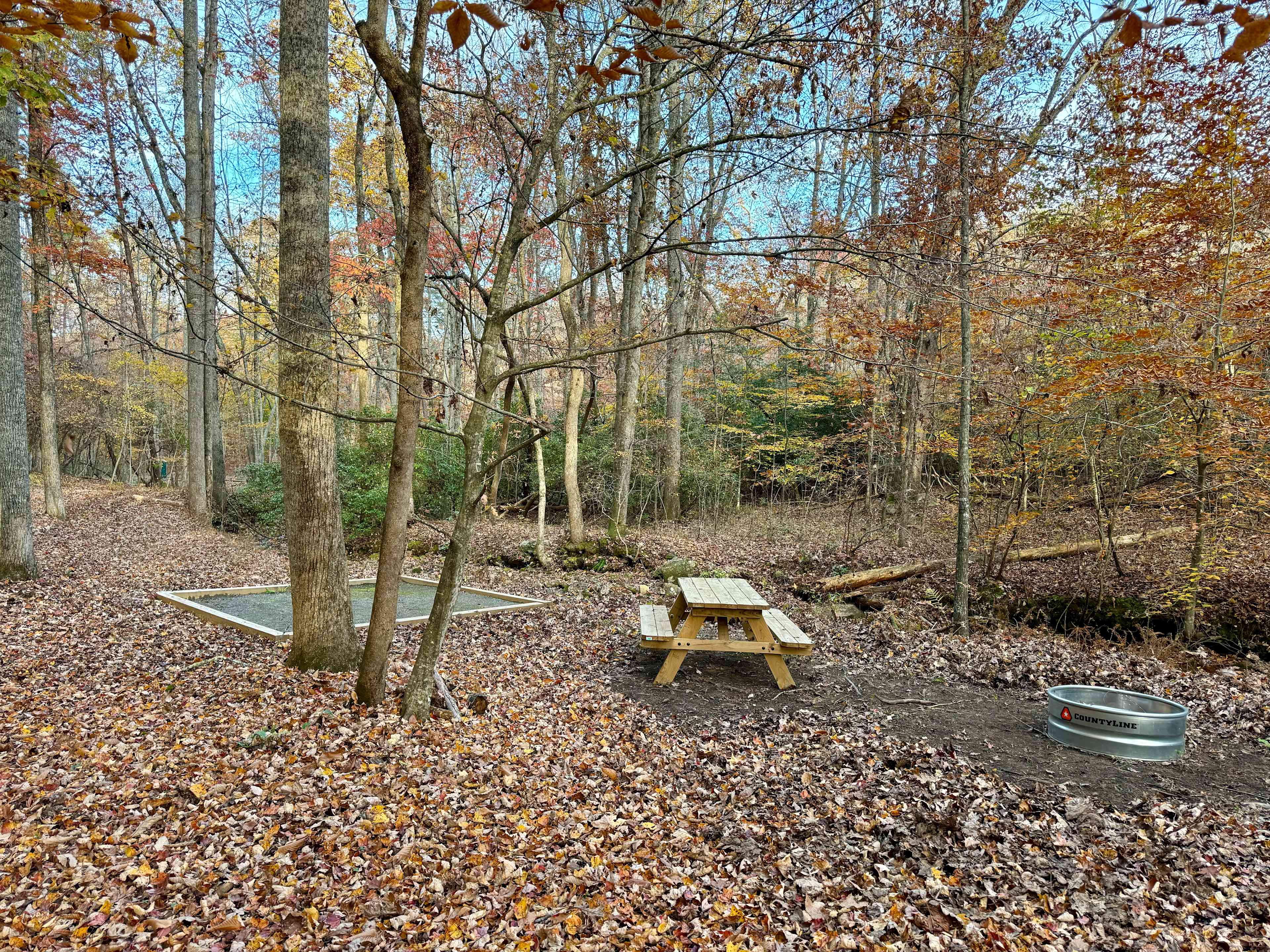 Picture of the site