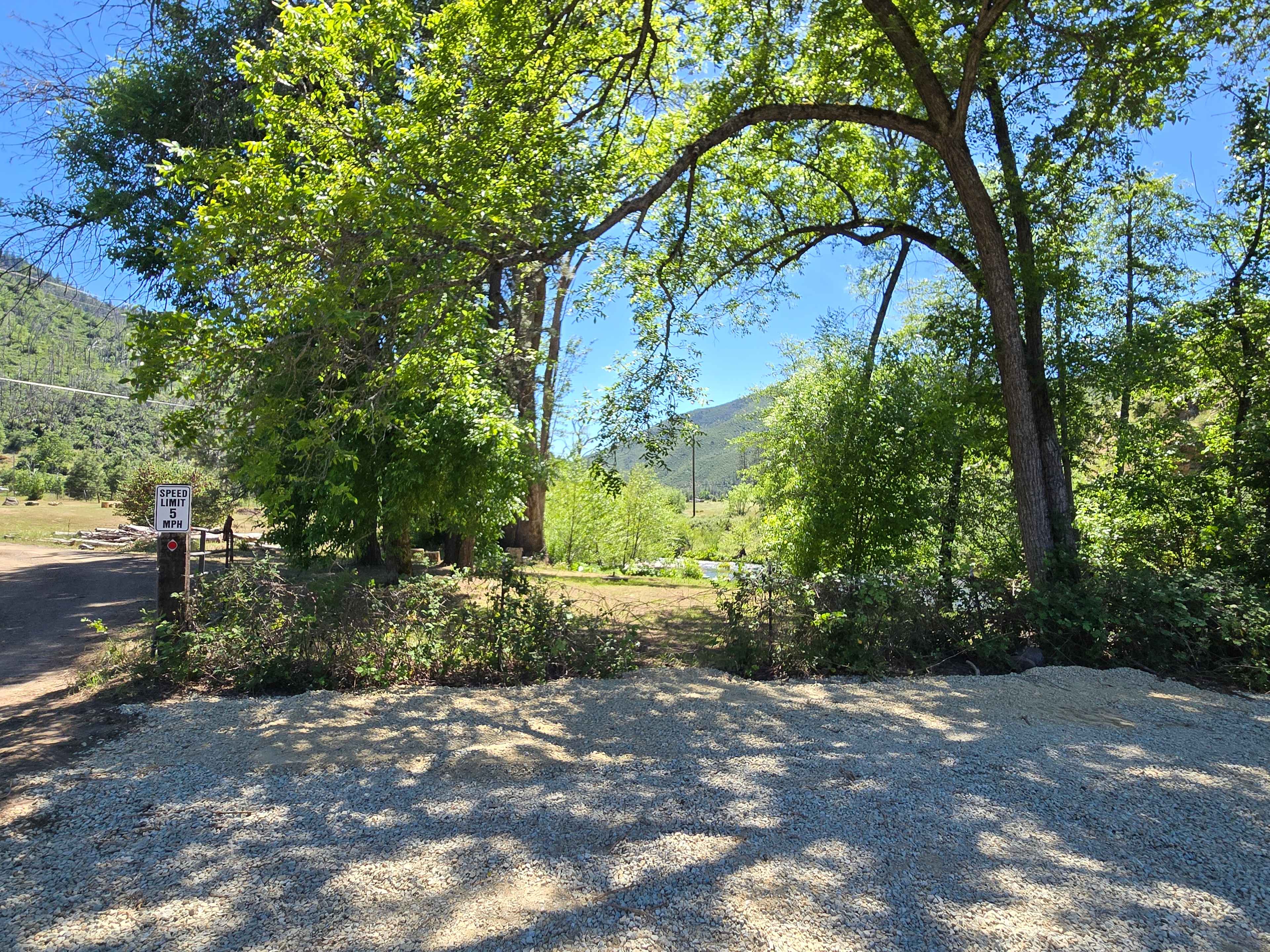 Picture of the site