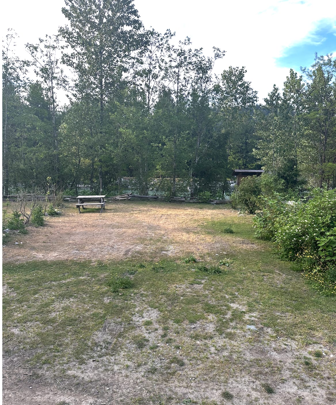Picture of the site
