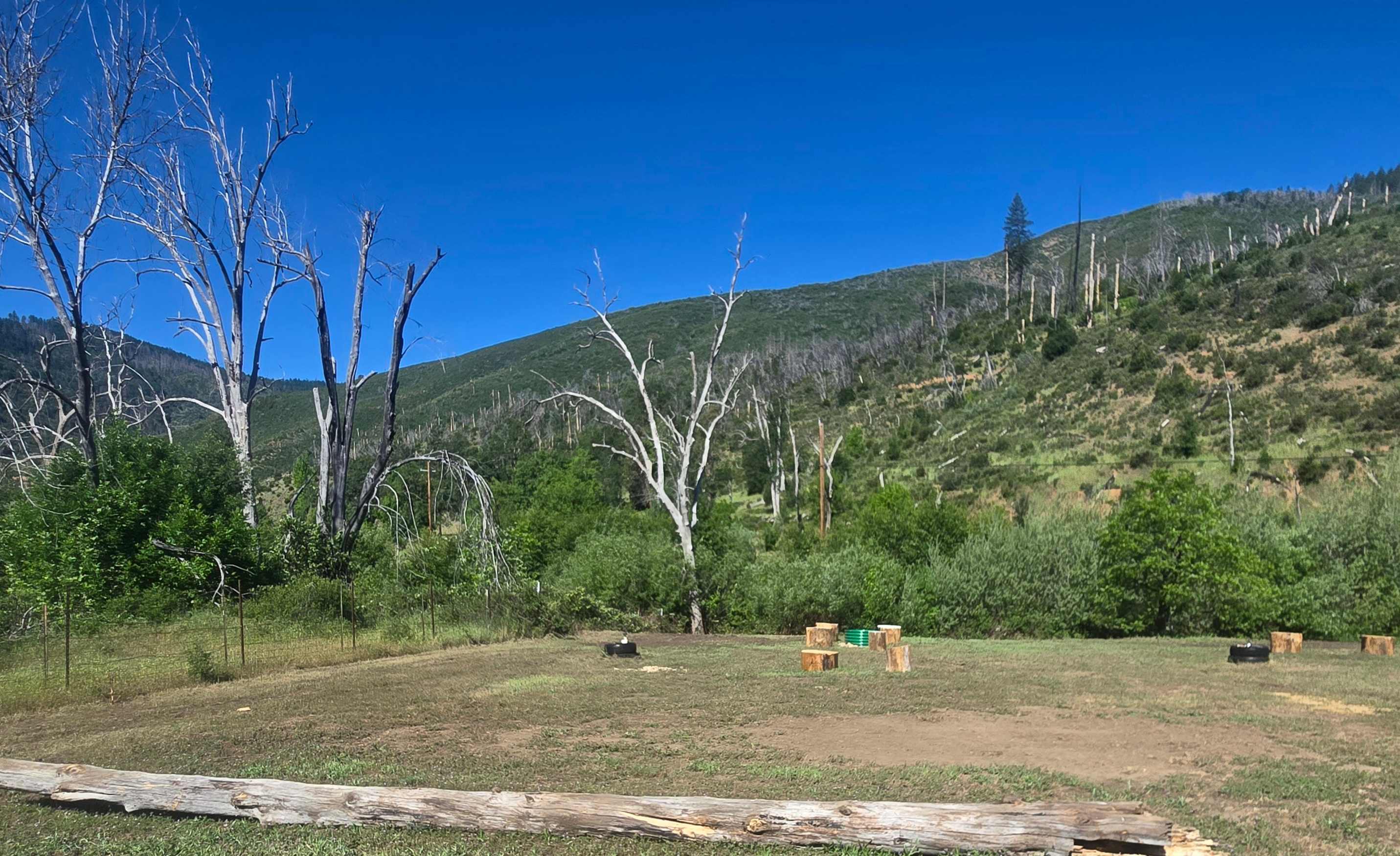Picture of the site