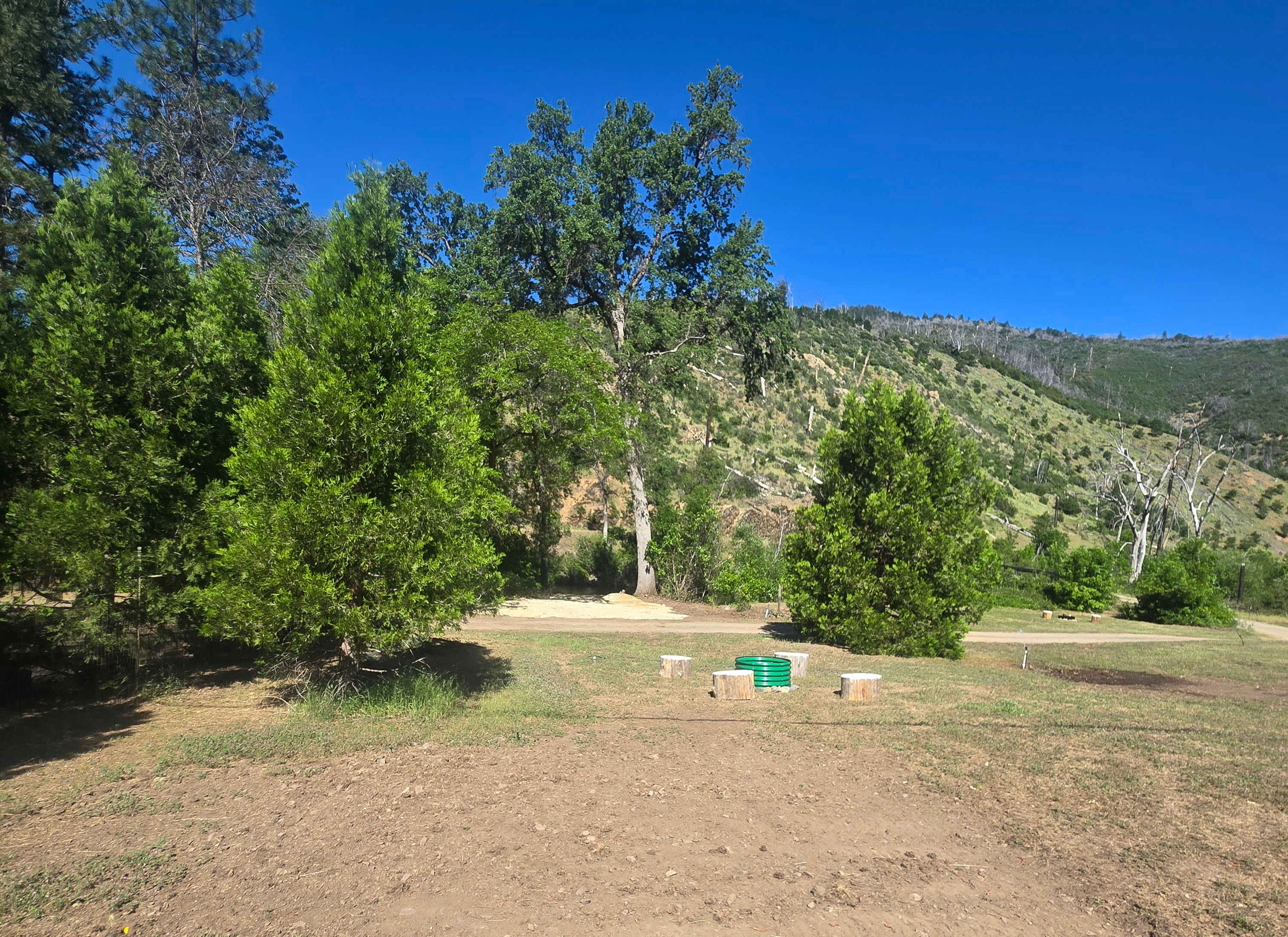 Picture of the site