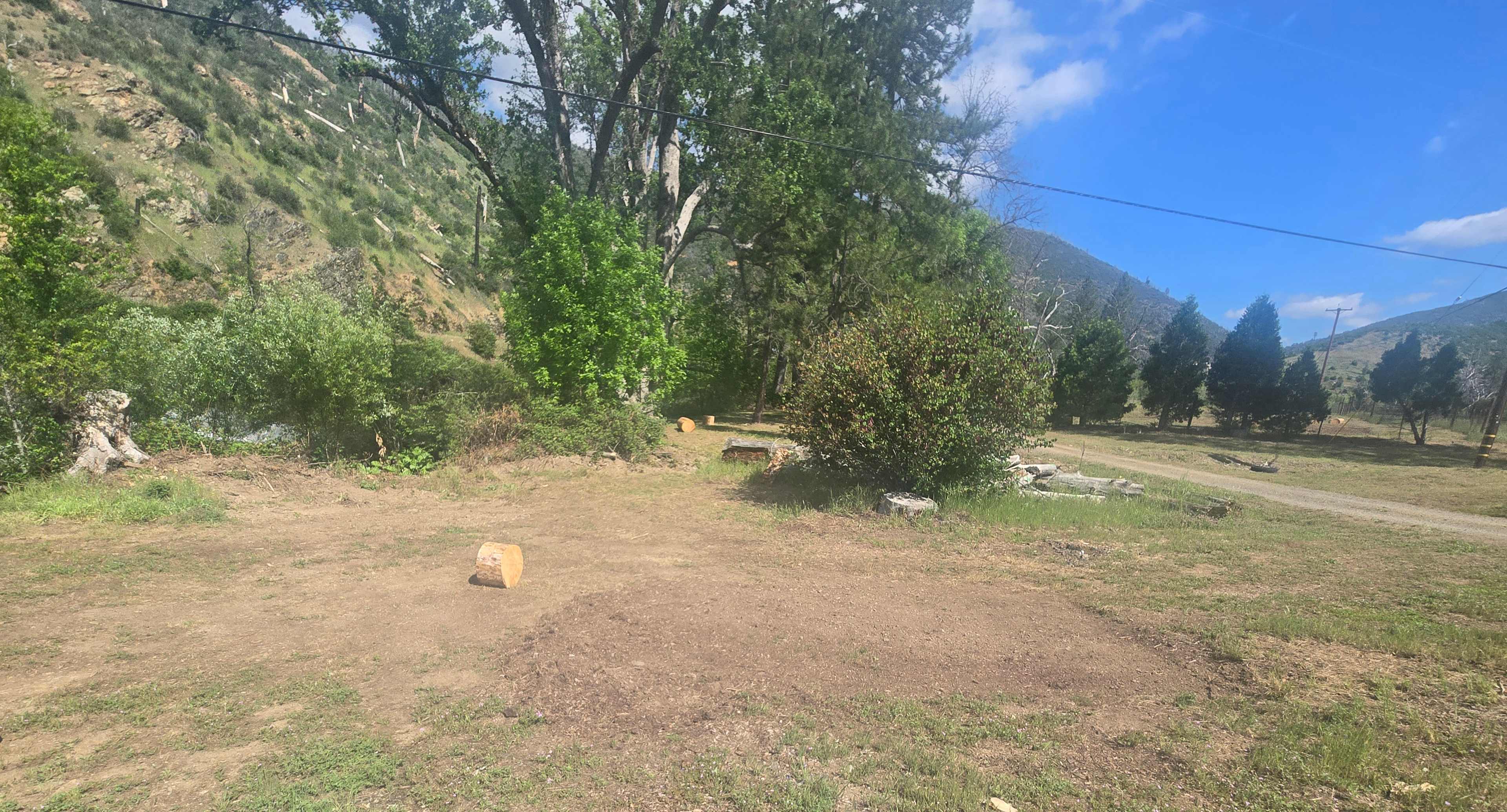 Picture of the site