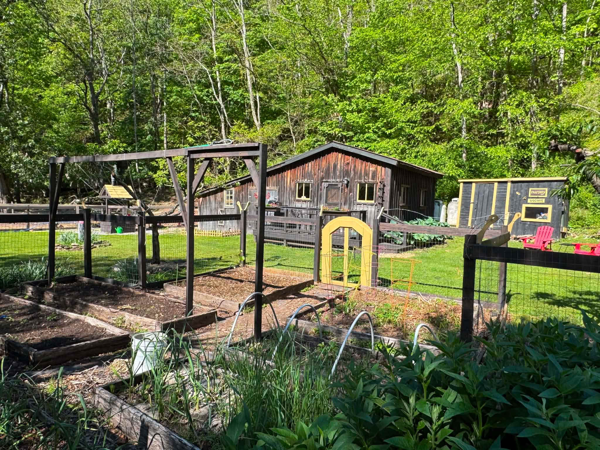 Picture of the site