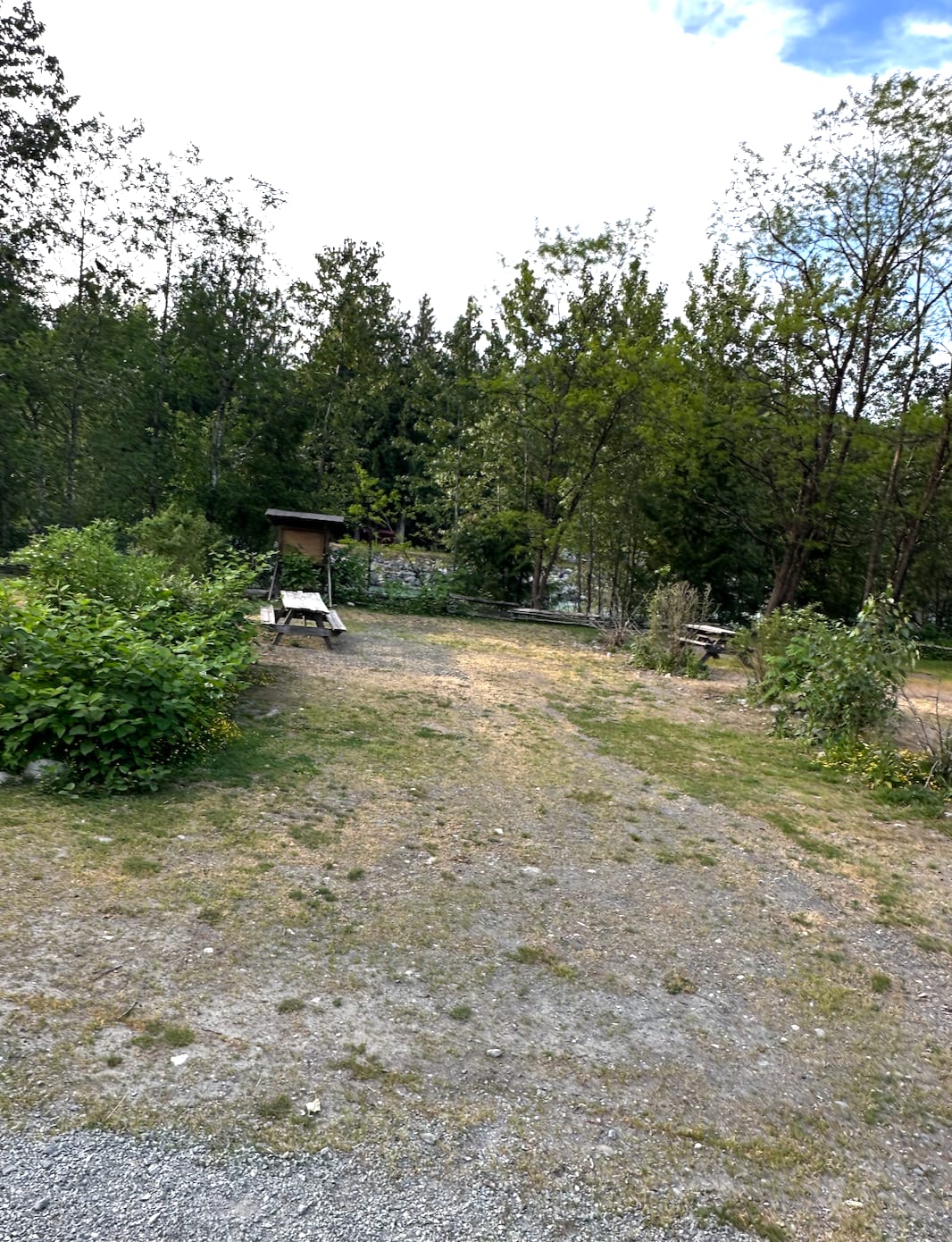 Picture of the site