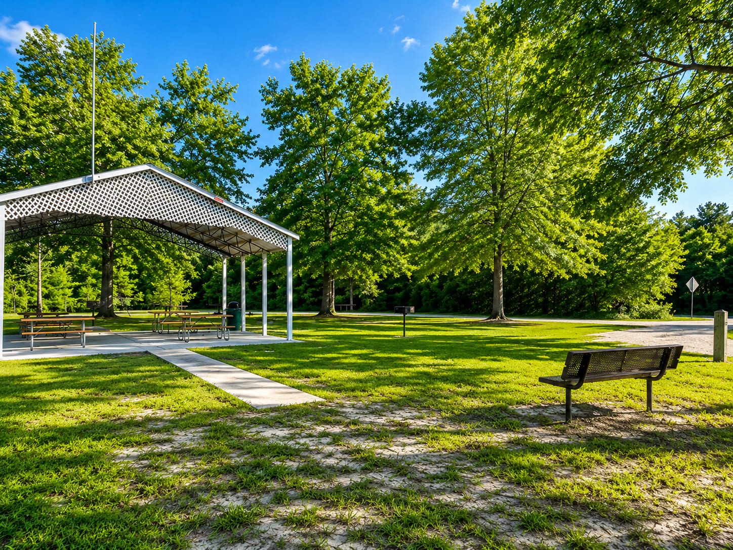 Picture of the site