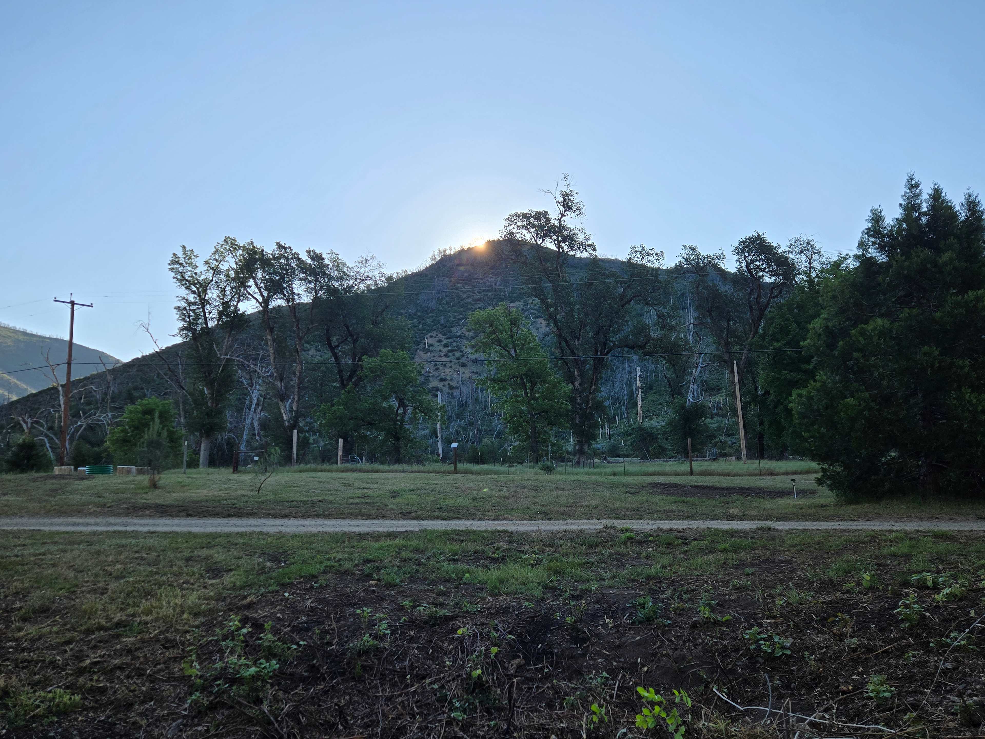 Picture of the site