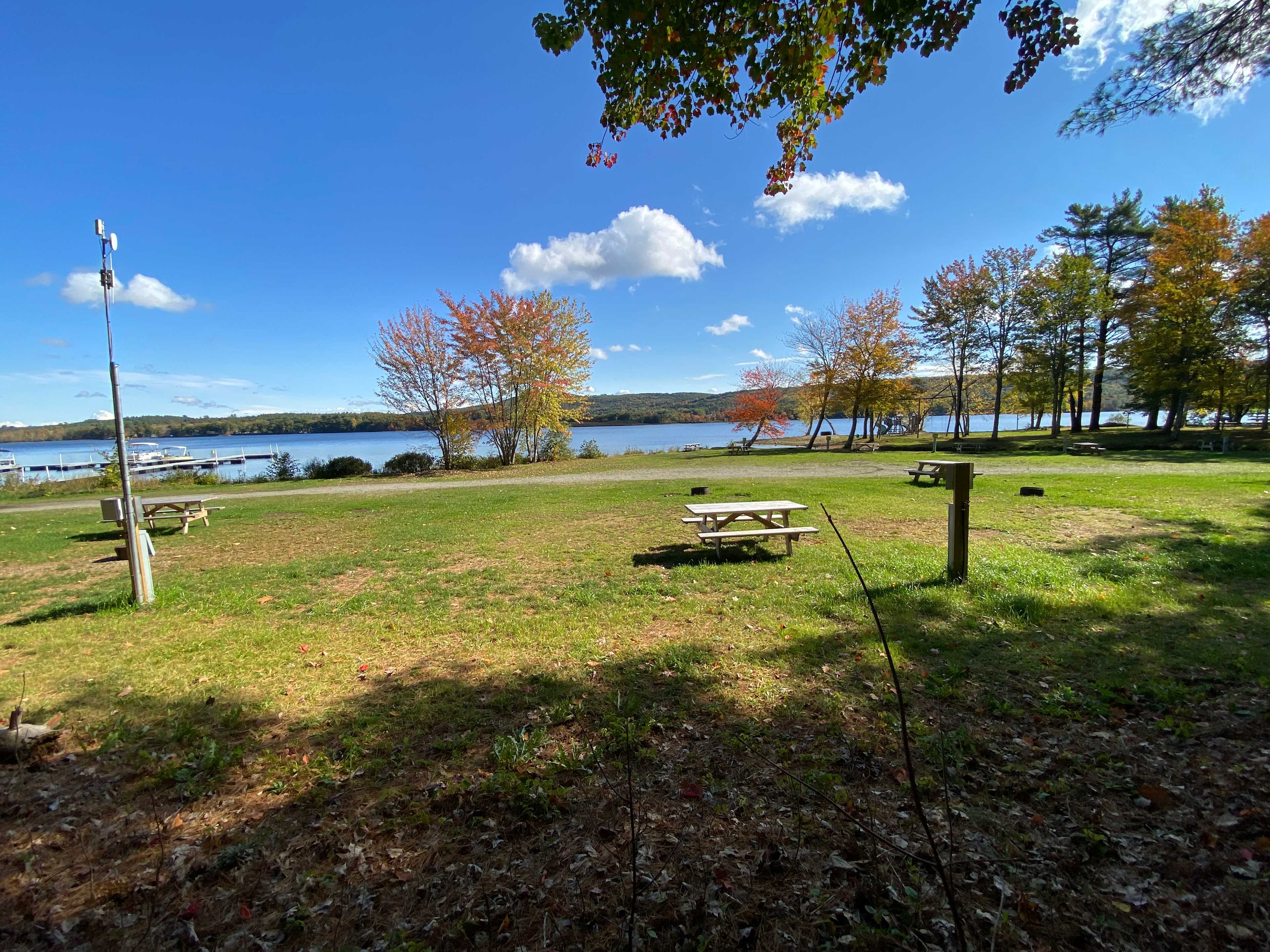 Picture of the site