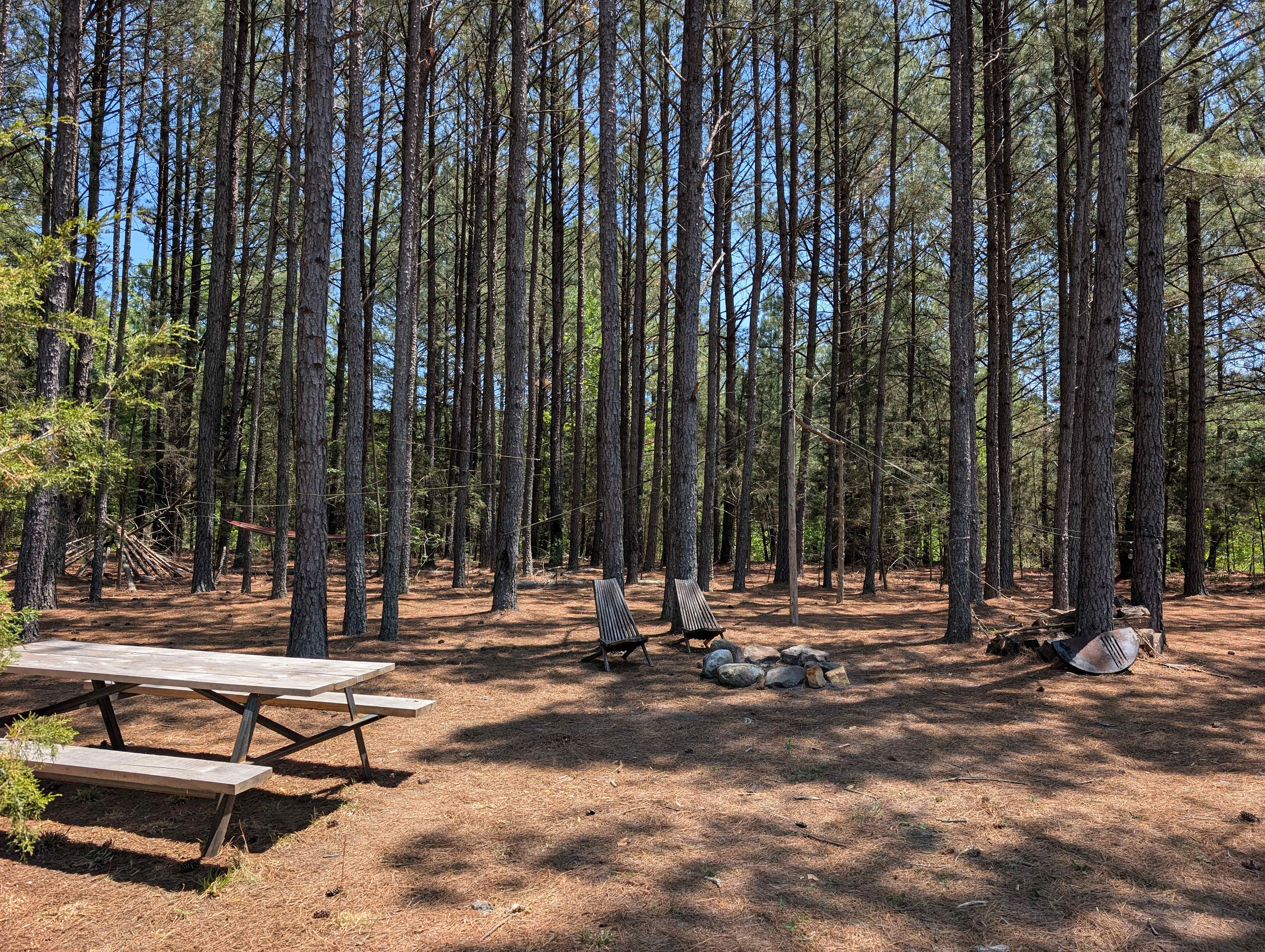 Picture of the site