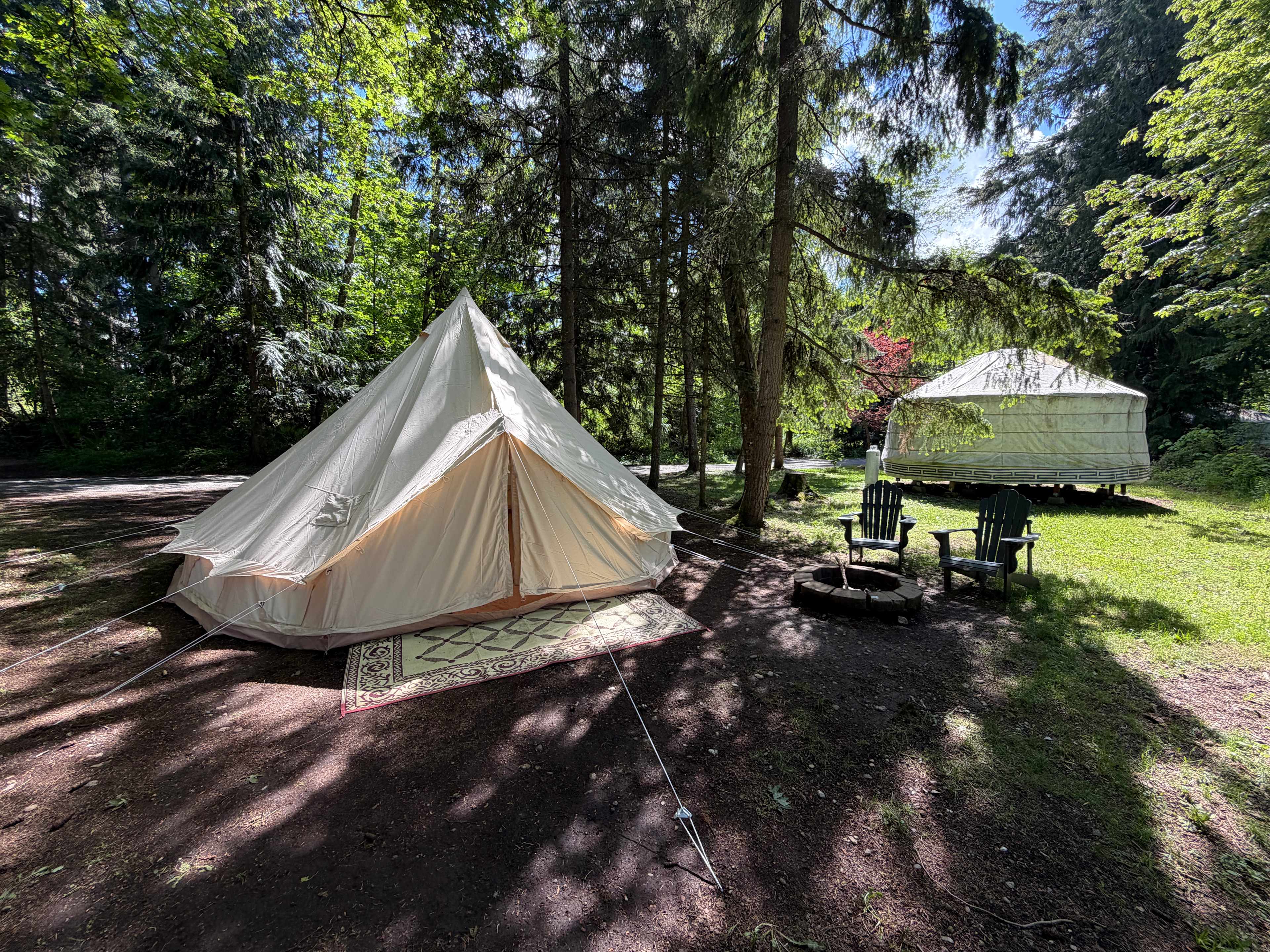 Picture of the site