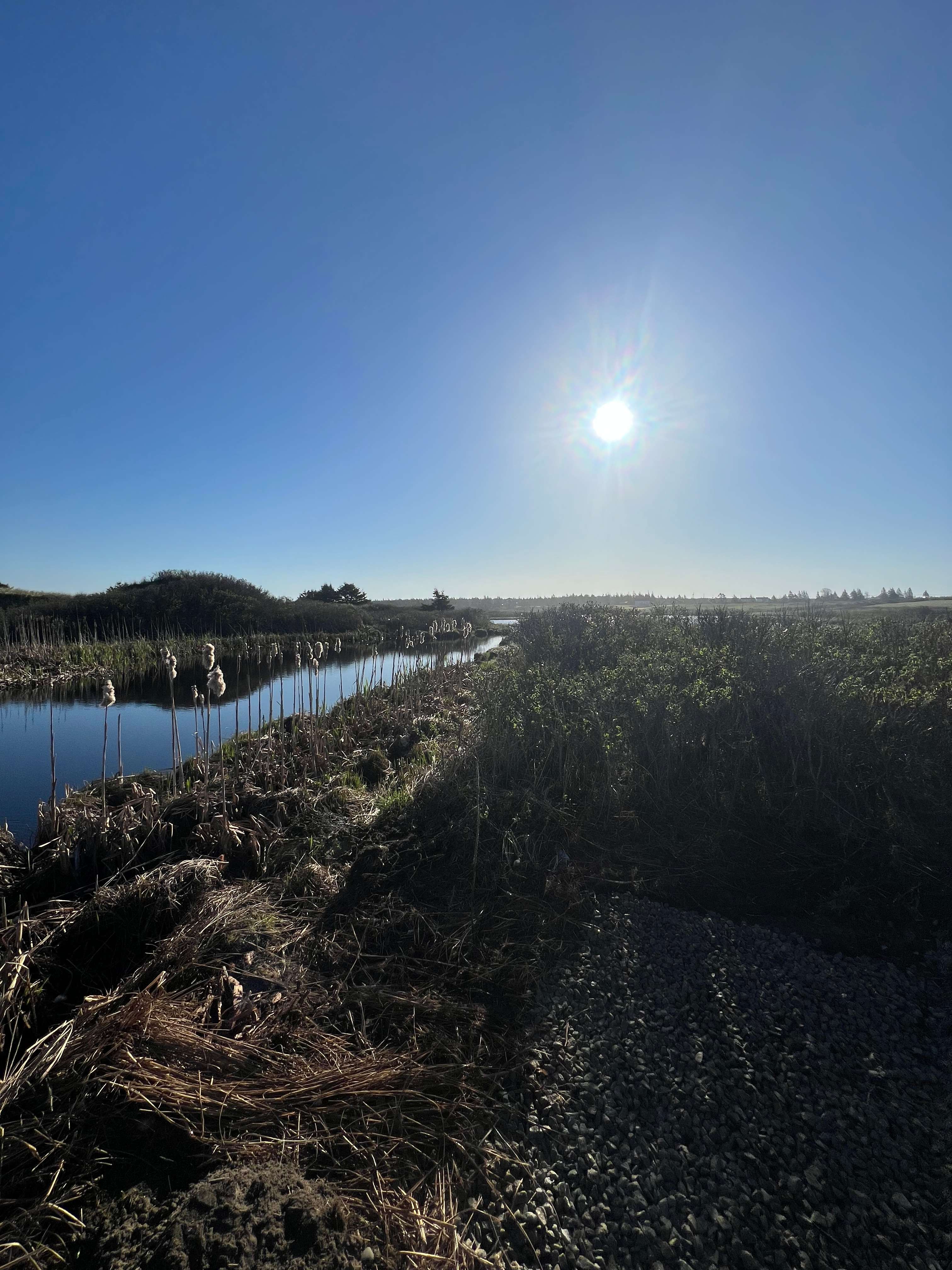 Picture of the site