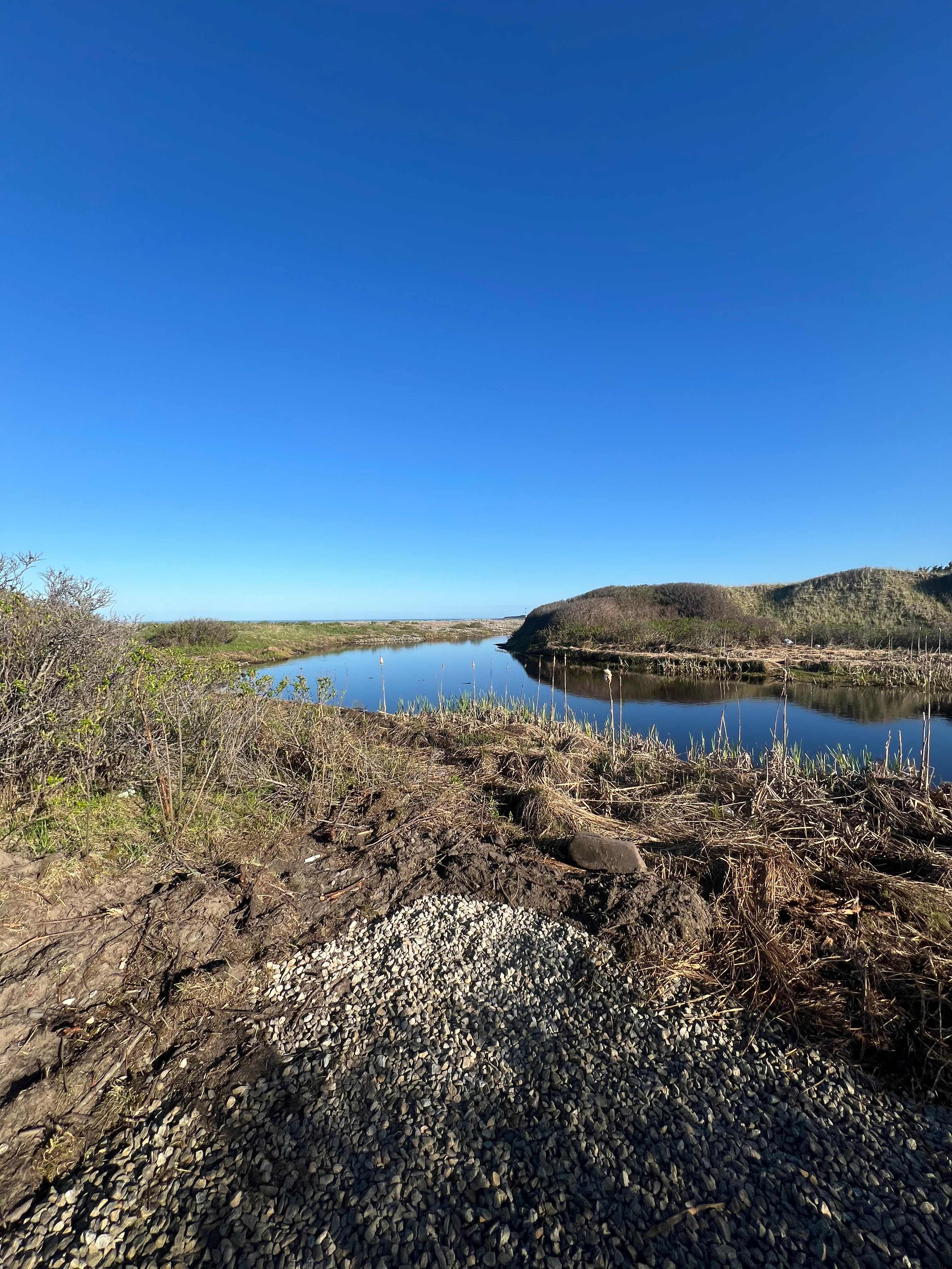 Picture of the site