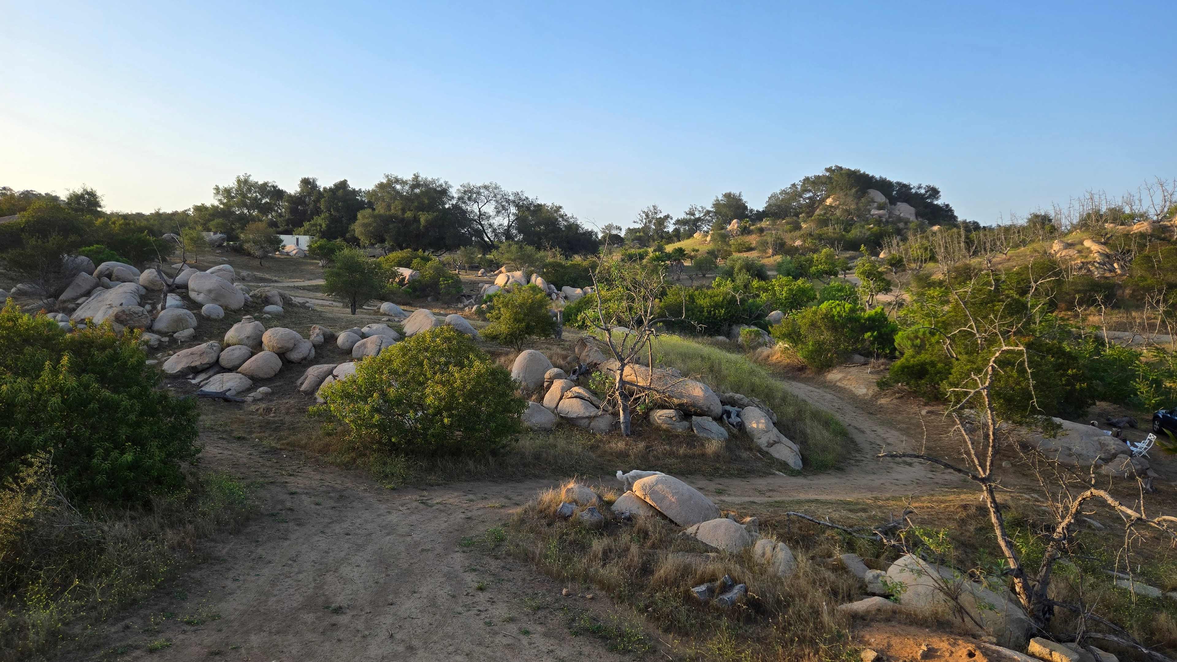 Picture of the site